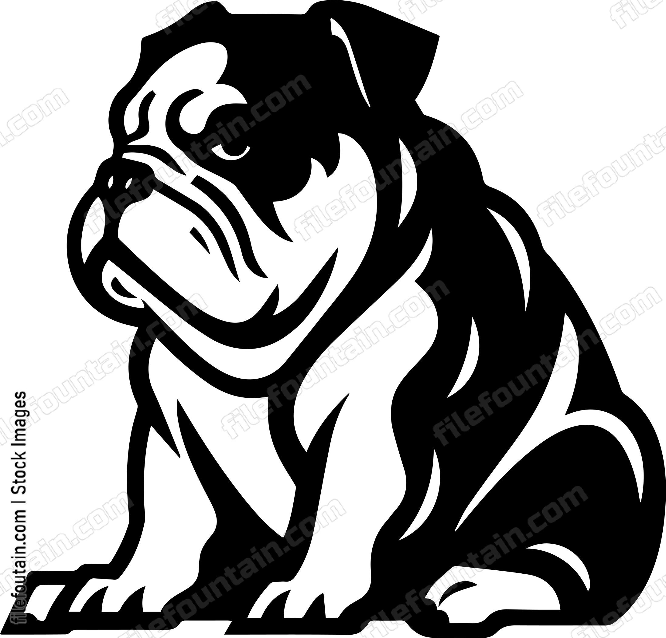 English Bulldog