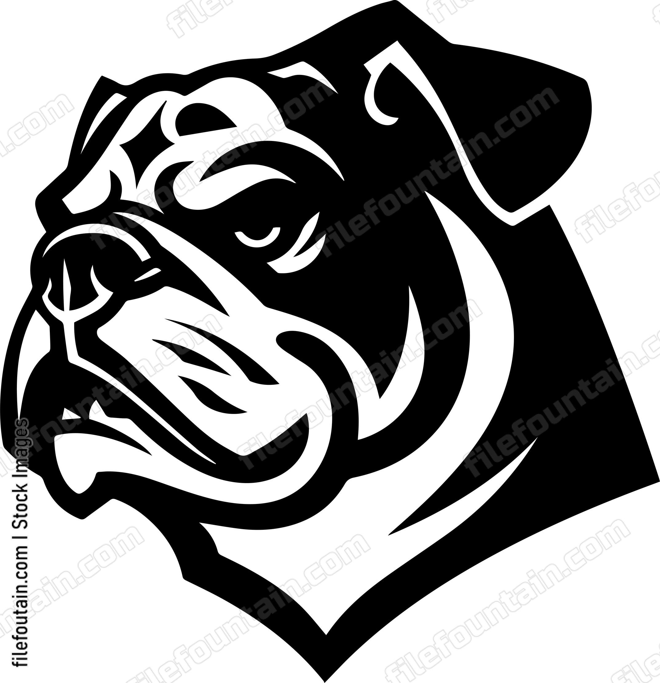 English Bulldog