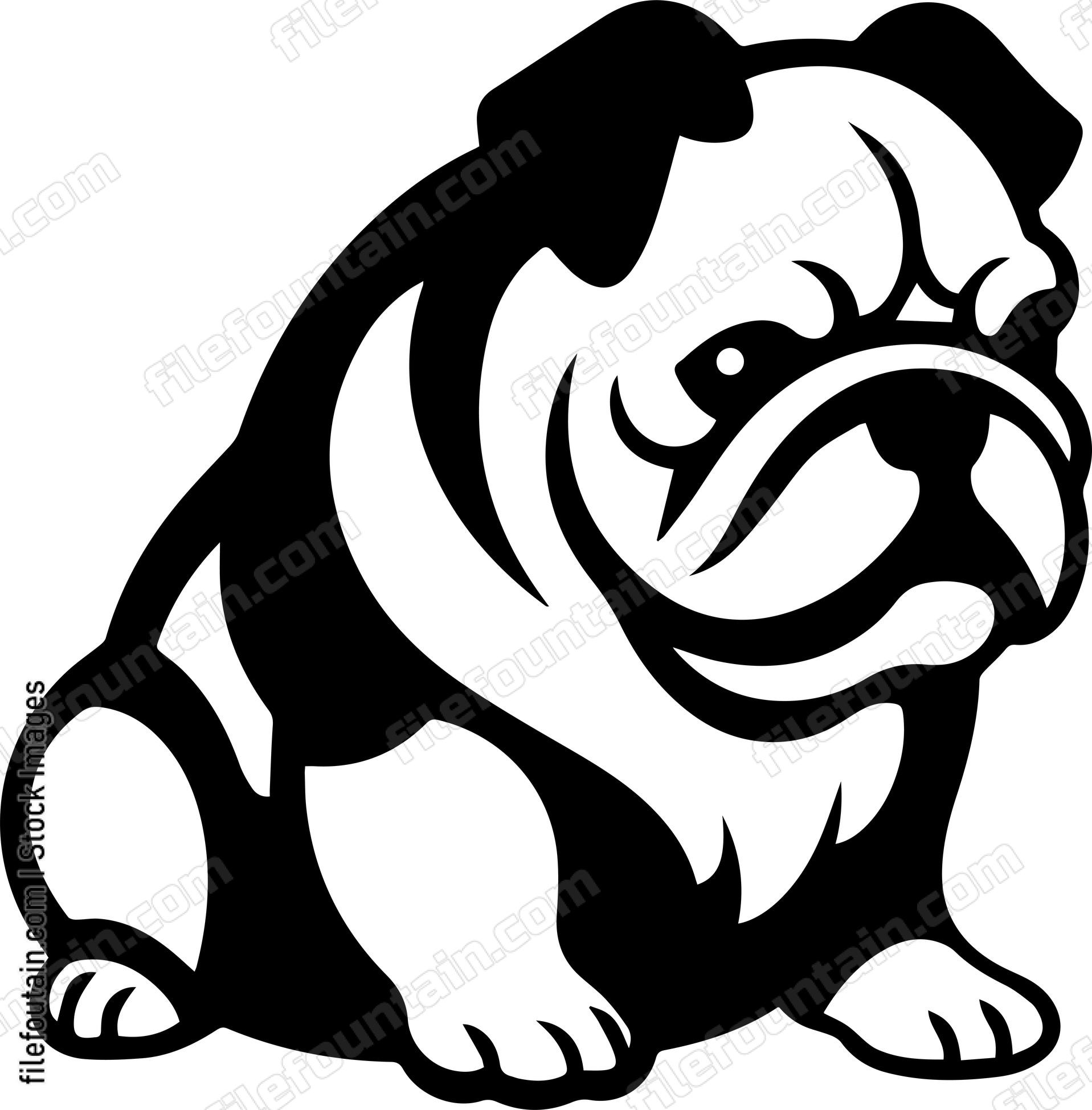 English Bulldog