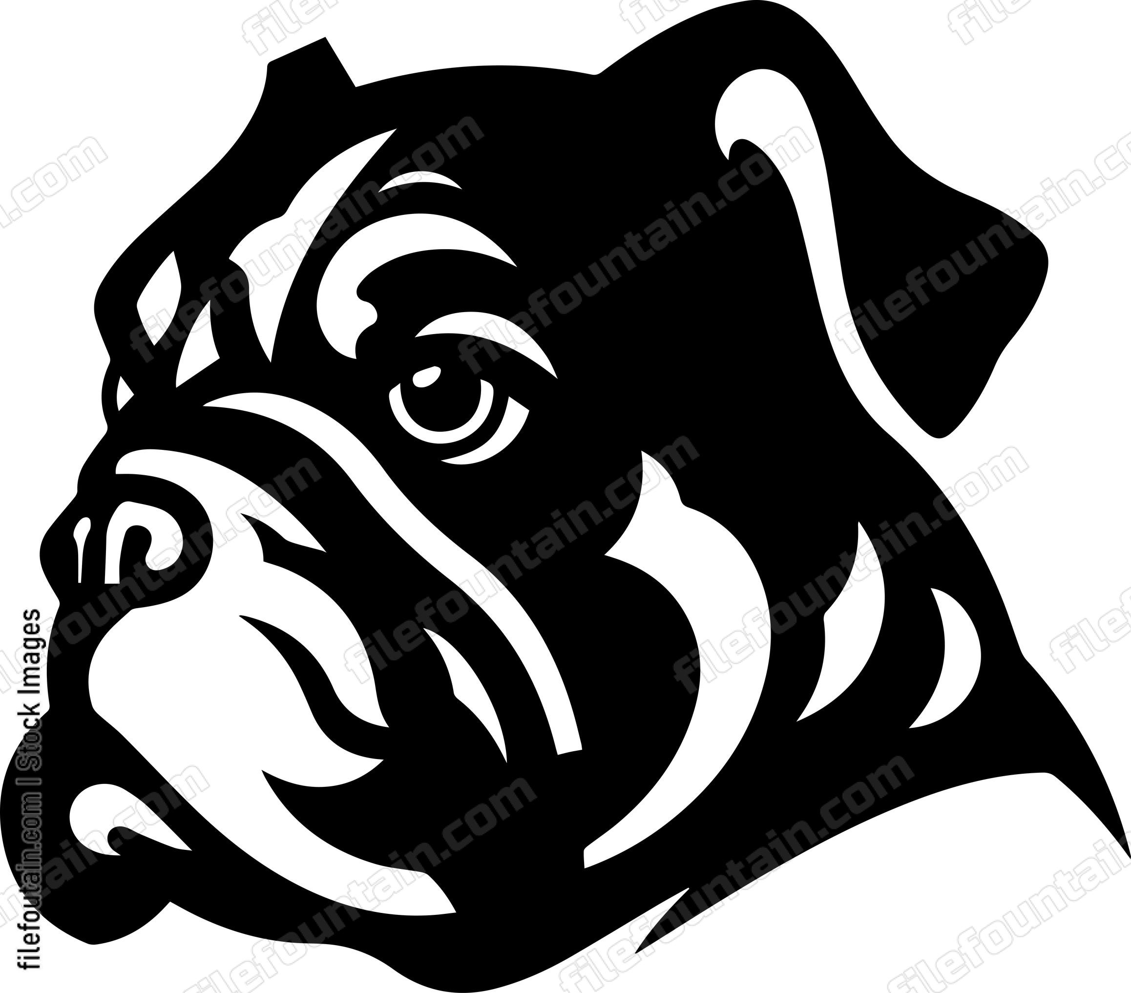 English Bulldog