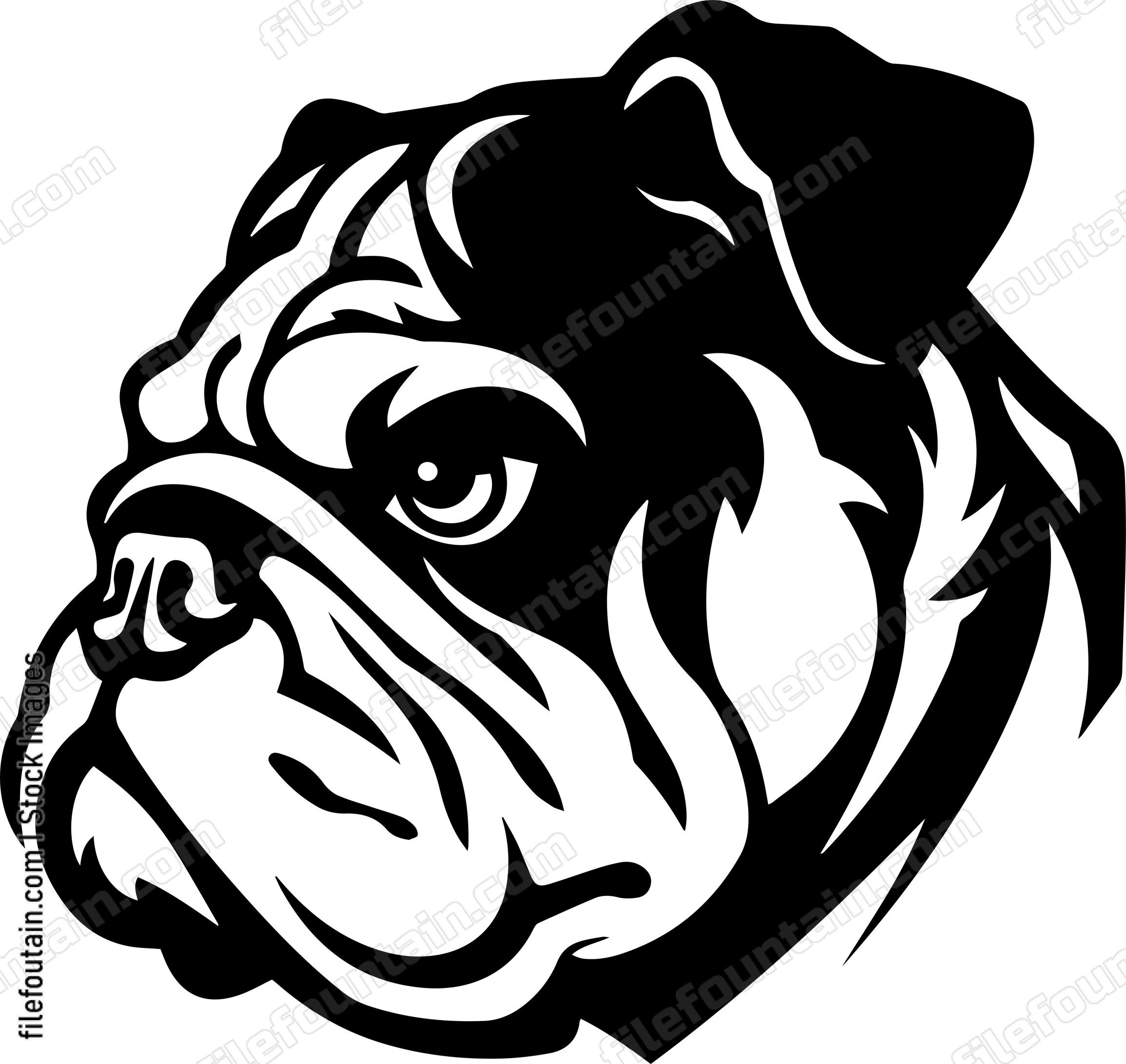 English Bulldog