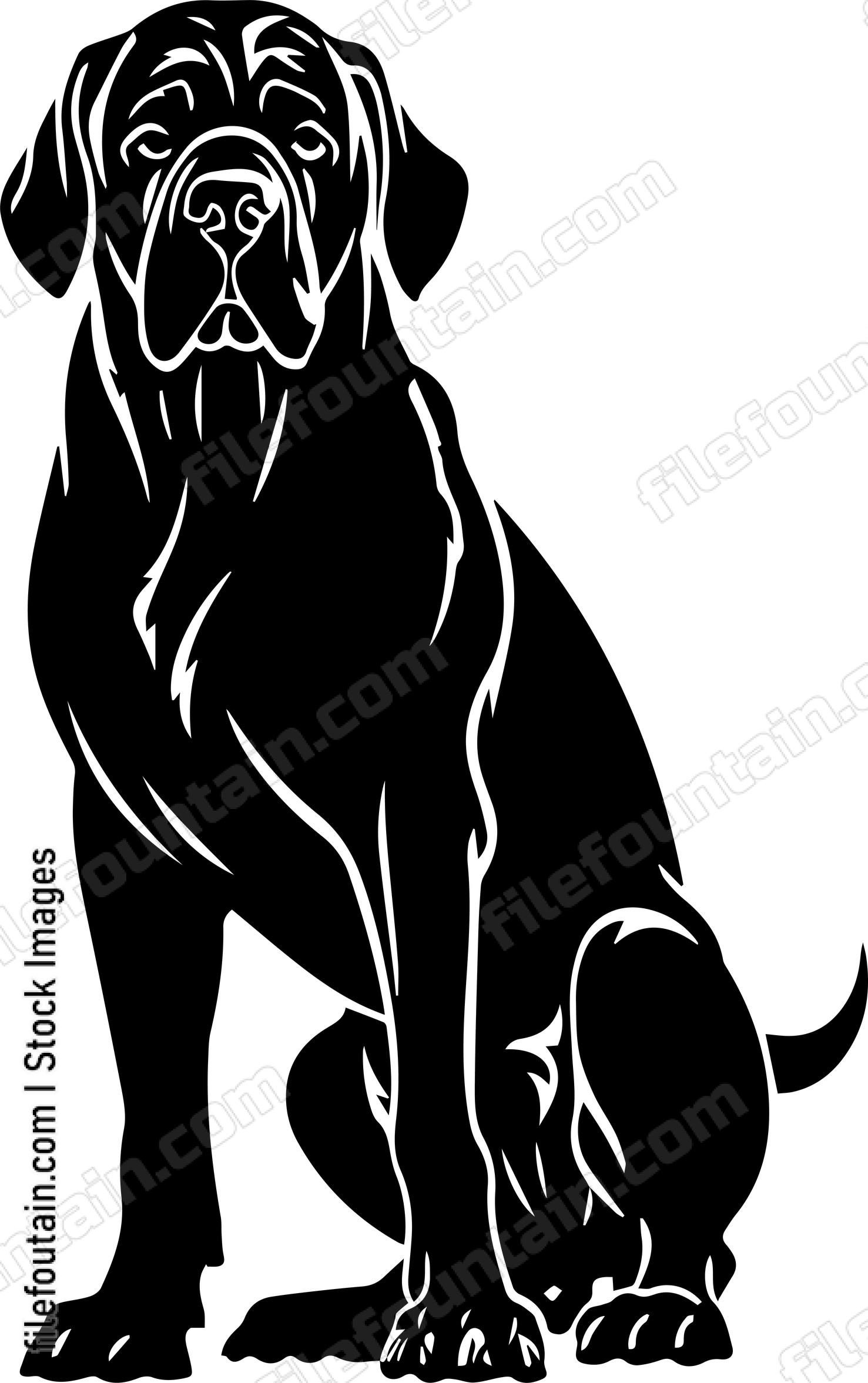 English Mastiff