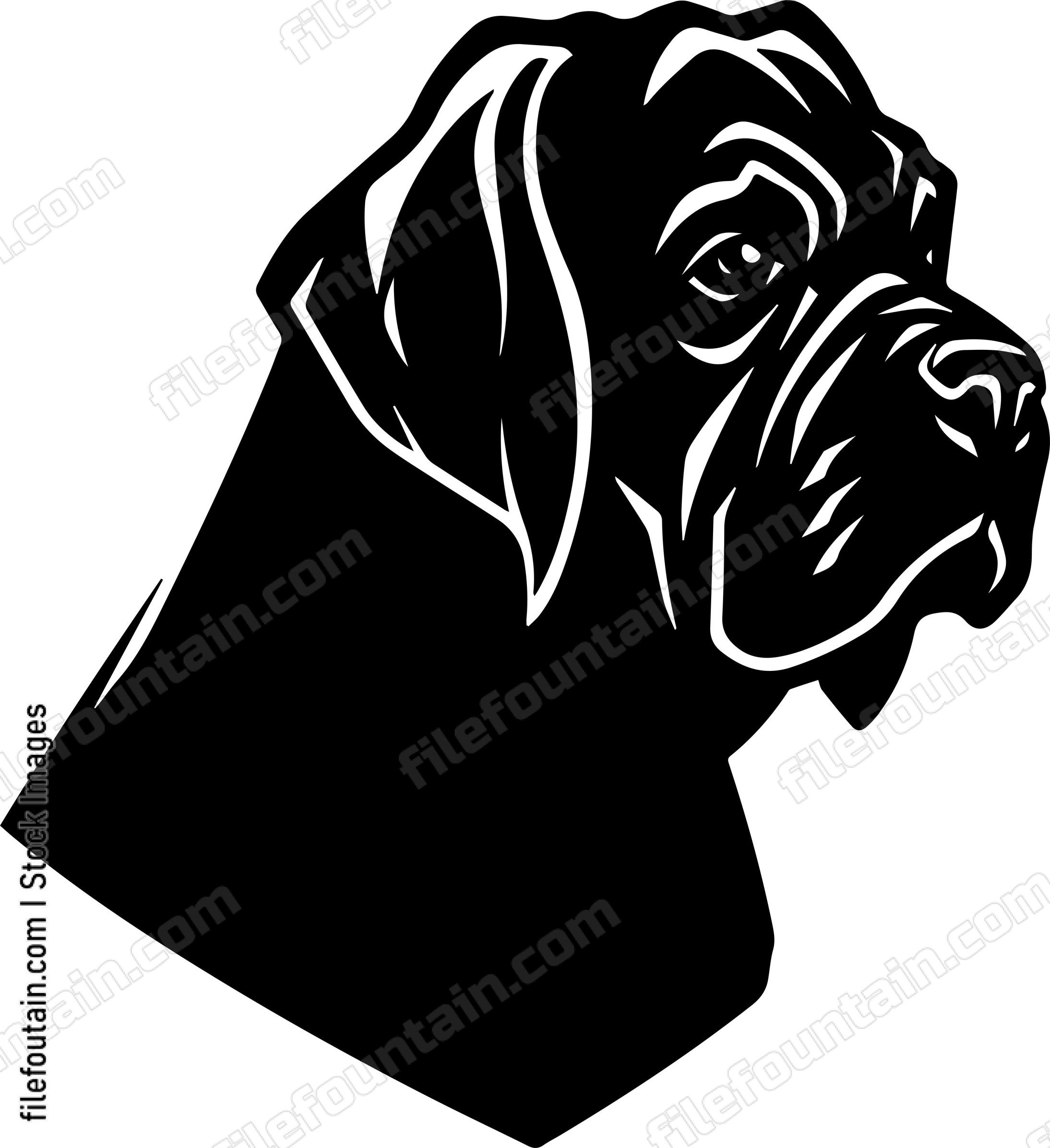 English Mastiff
