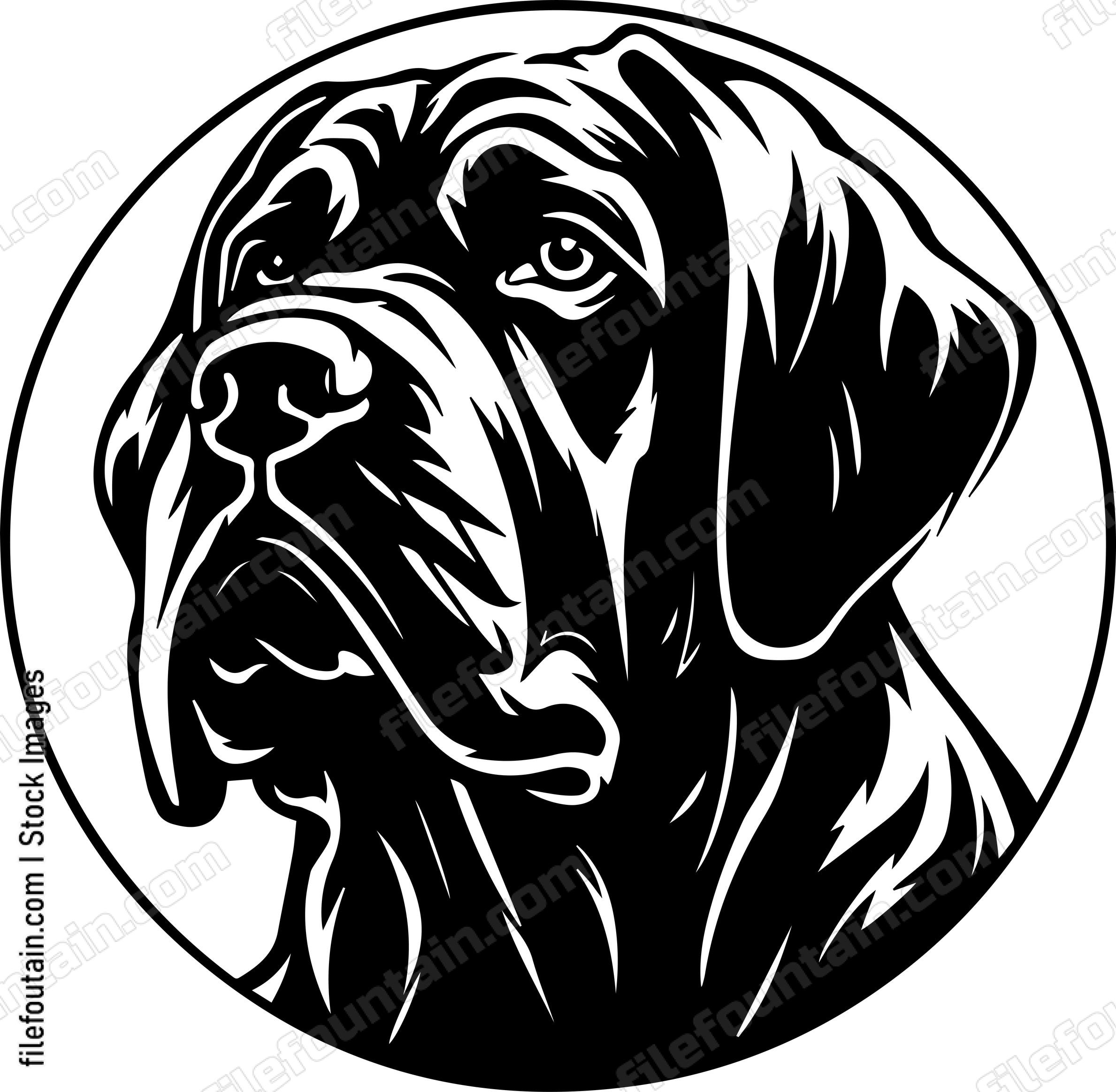 English Mastiff