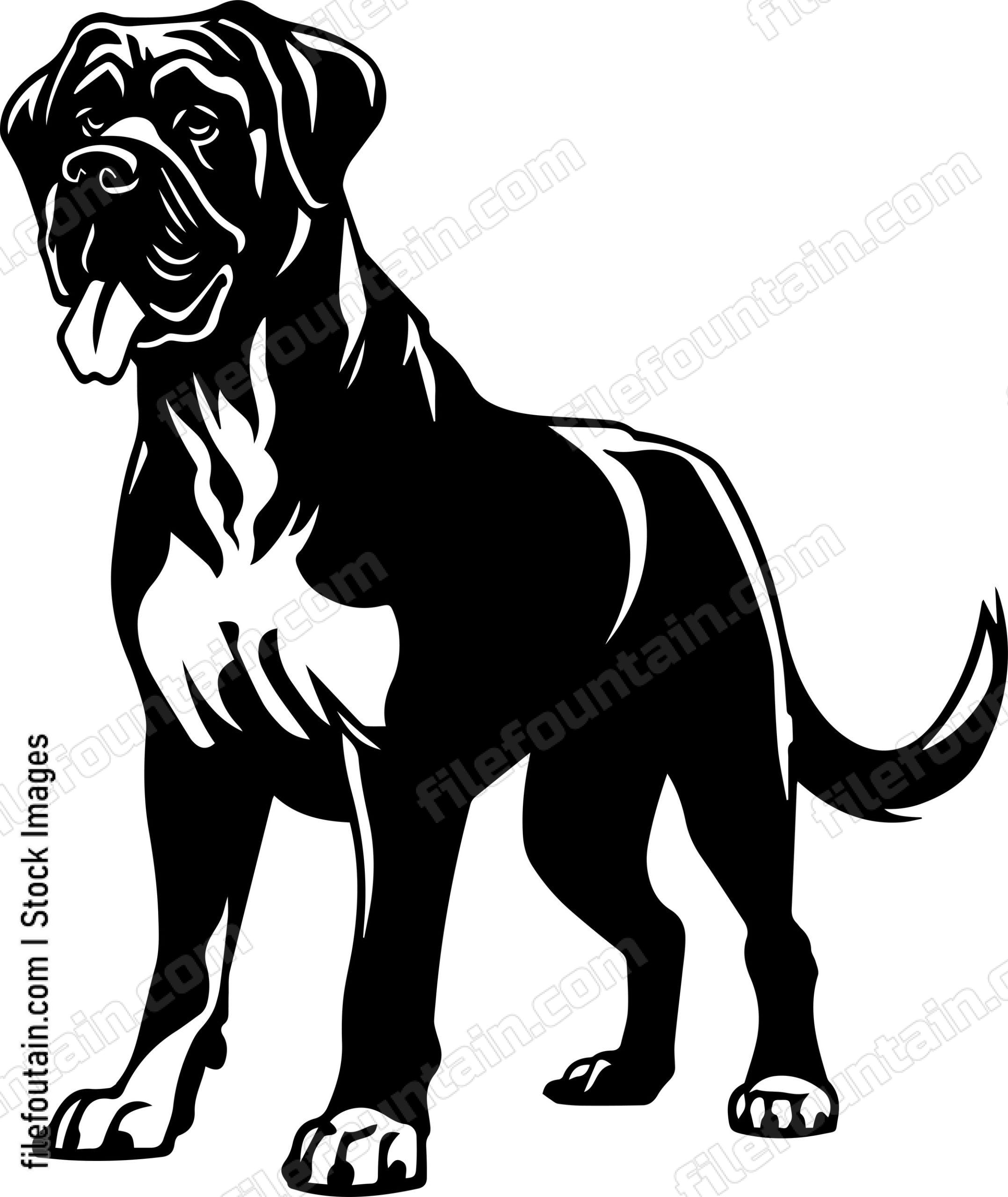 English Mastiff
