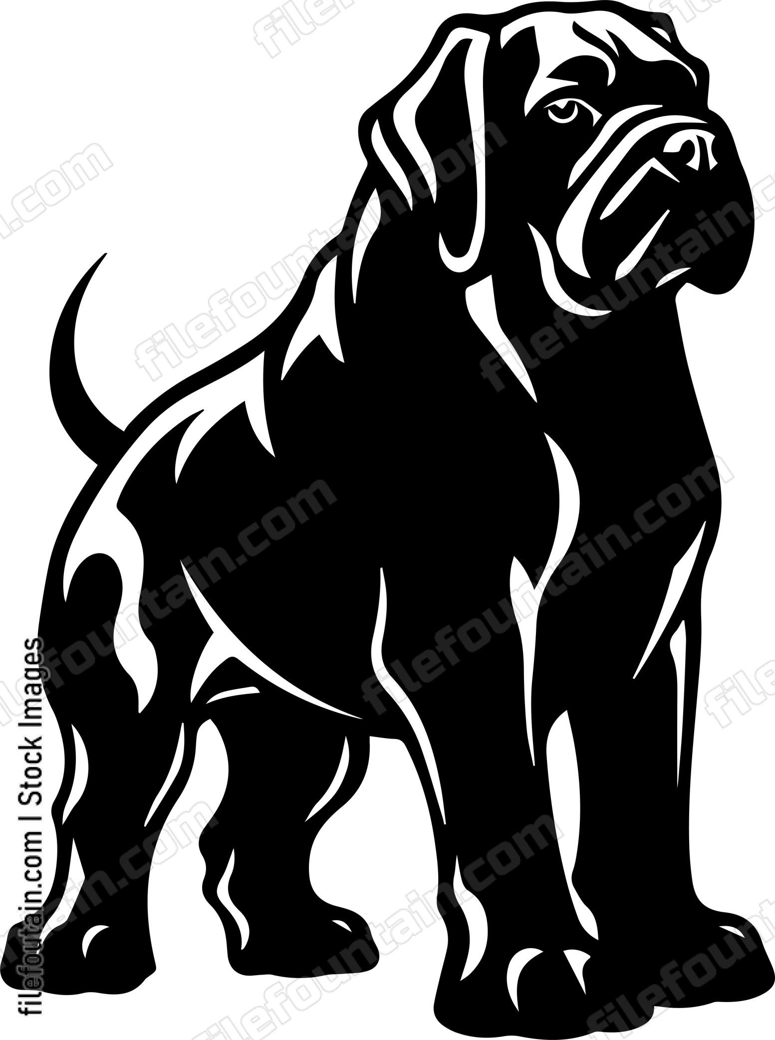 English Mastiff