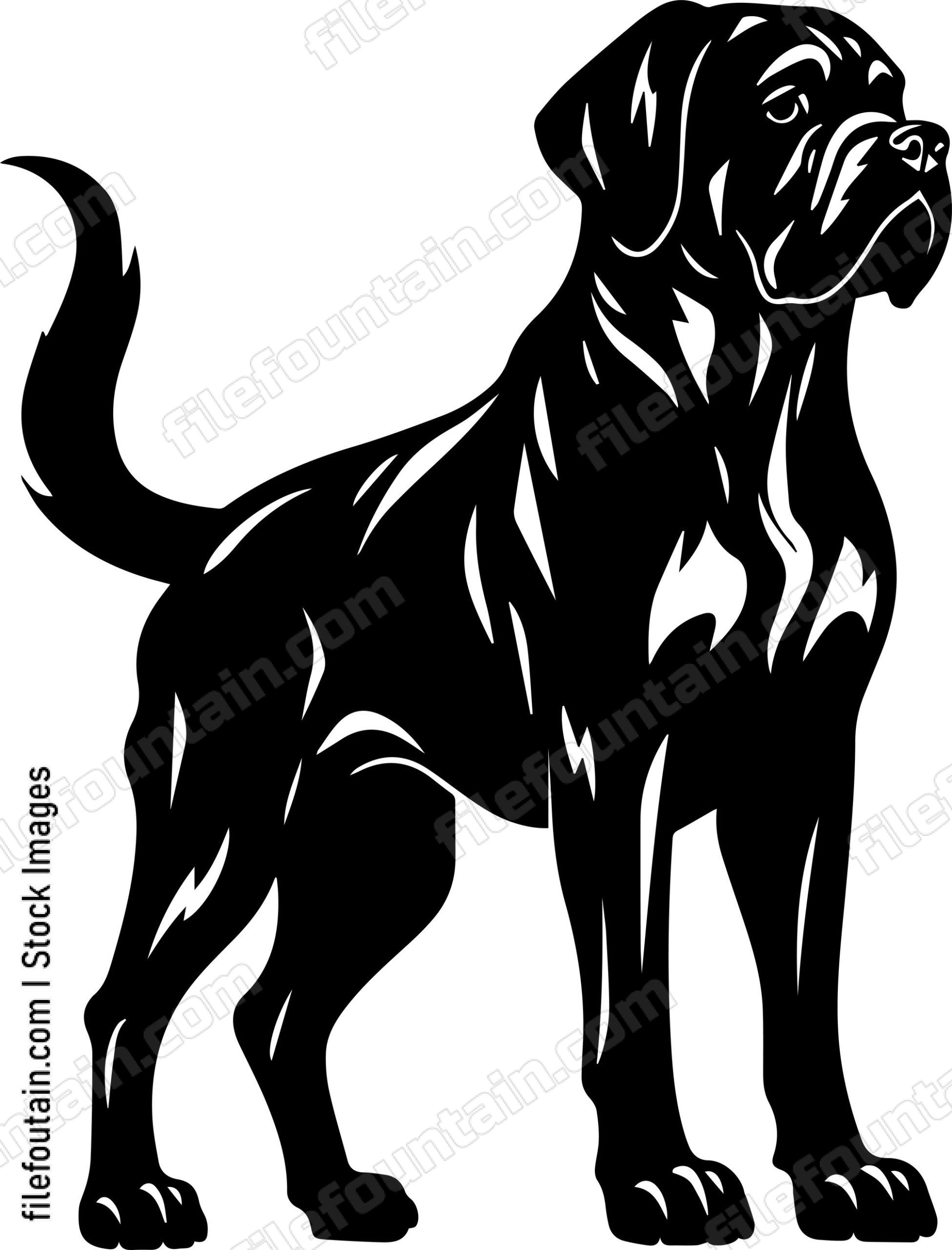 English Mastiff