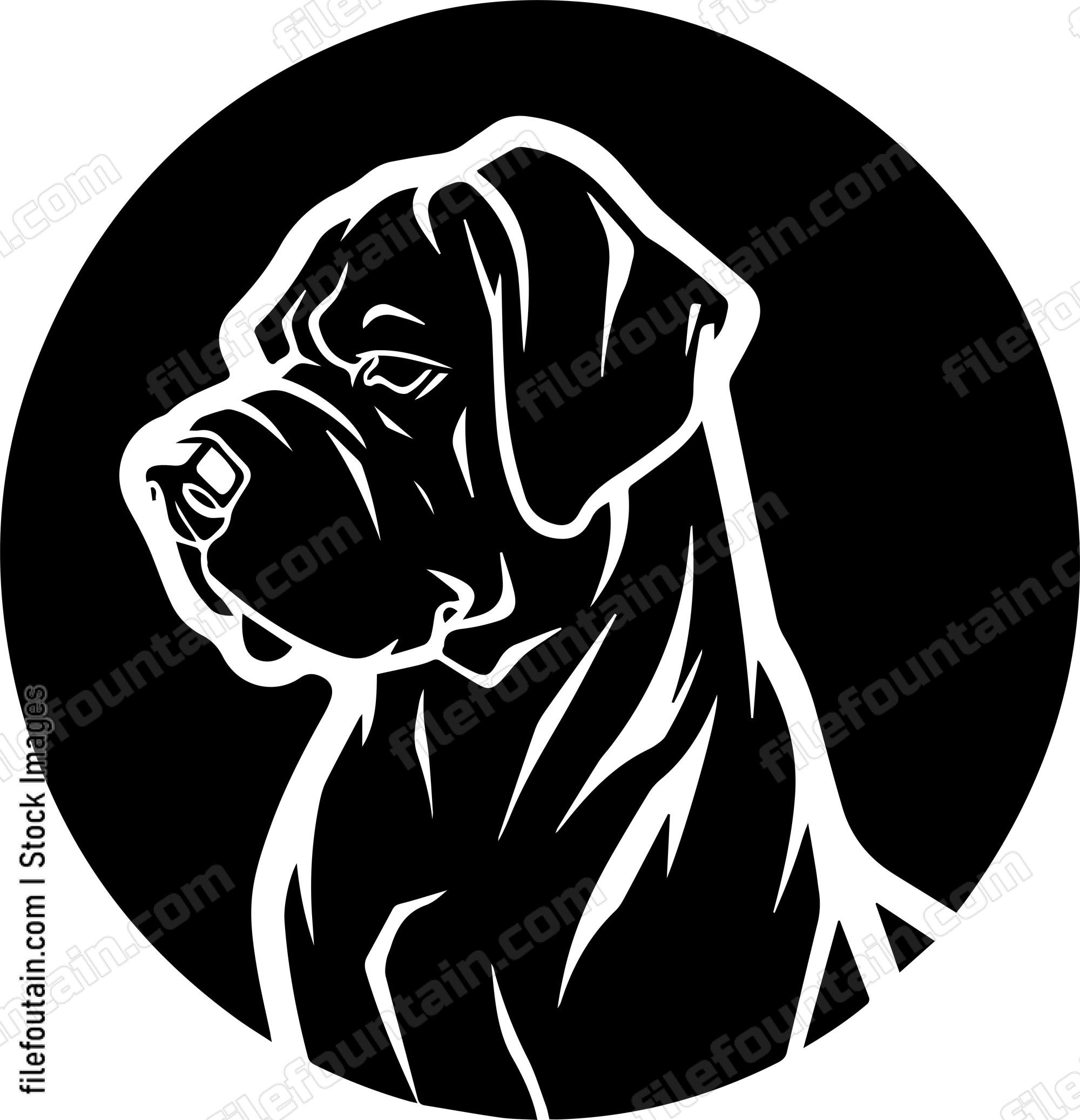 English Mastiff