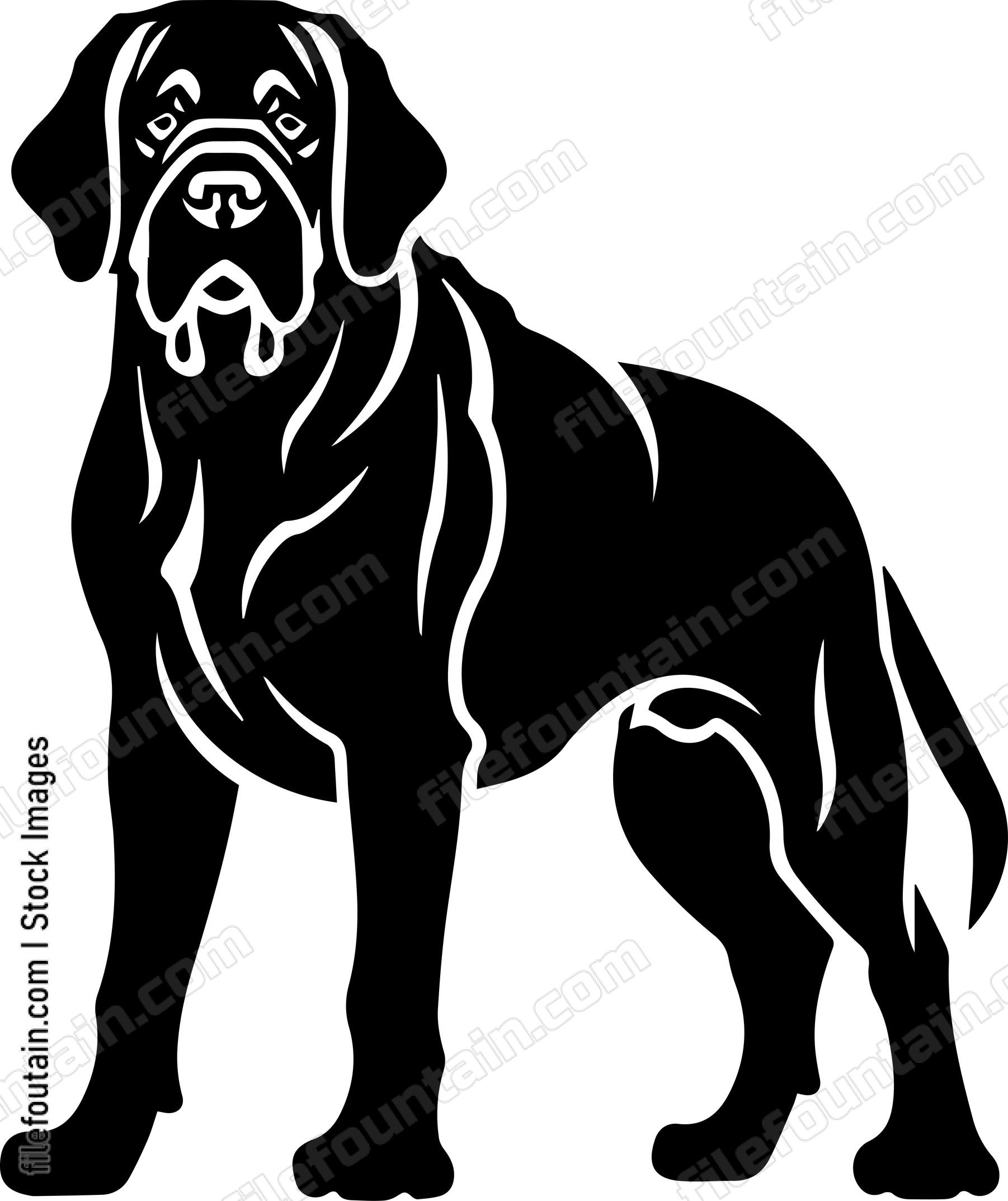 English Mastiff