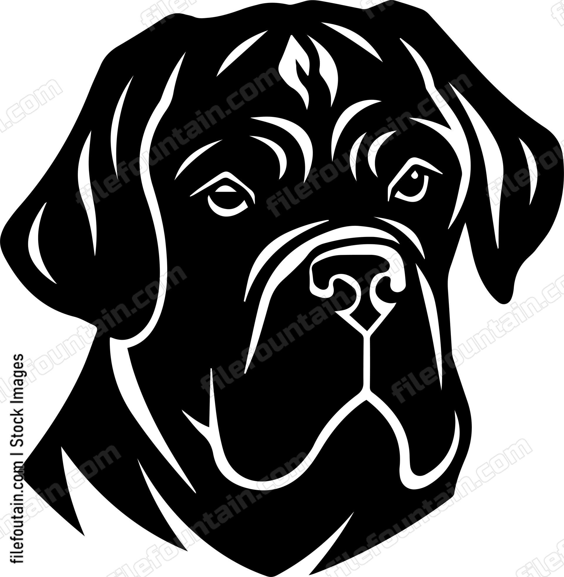 English Mastiff