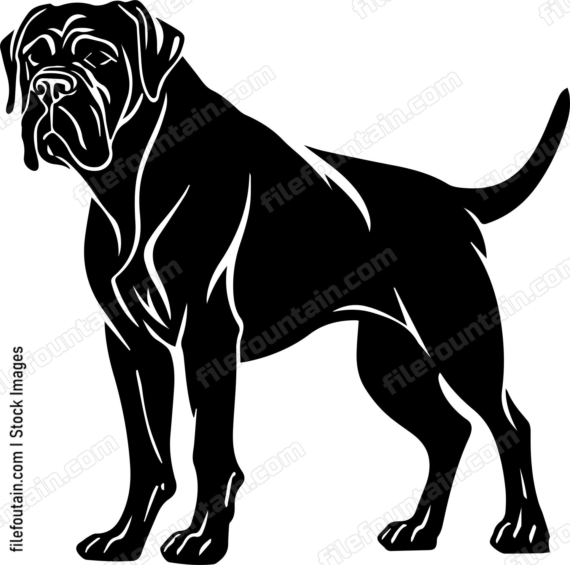 English Mastiff