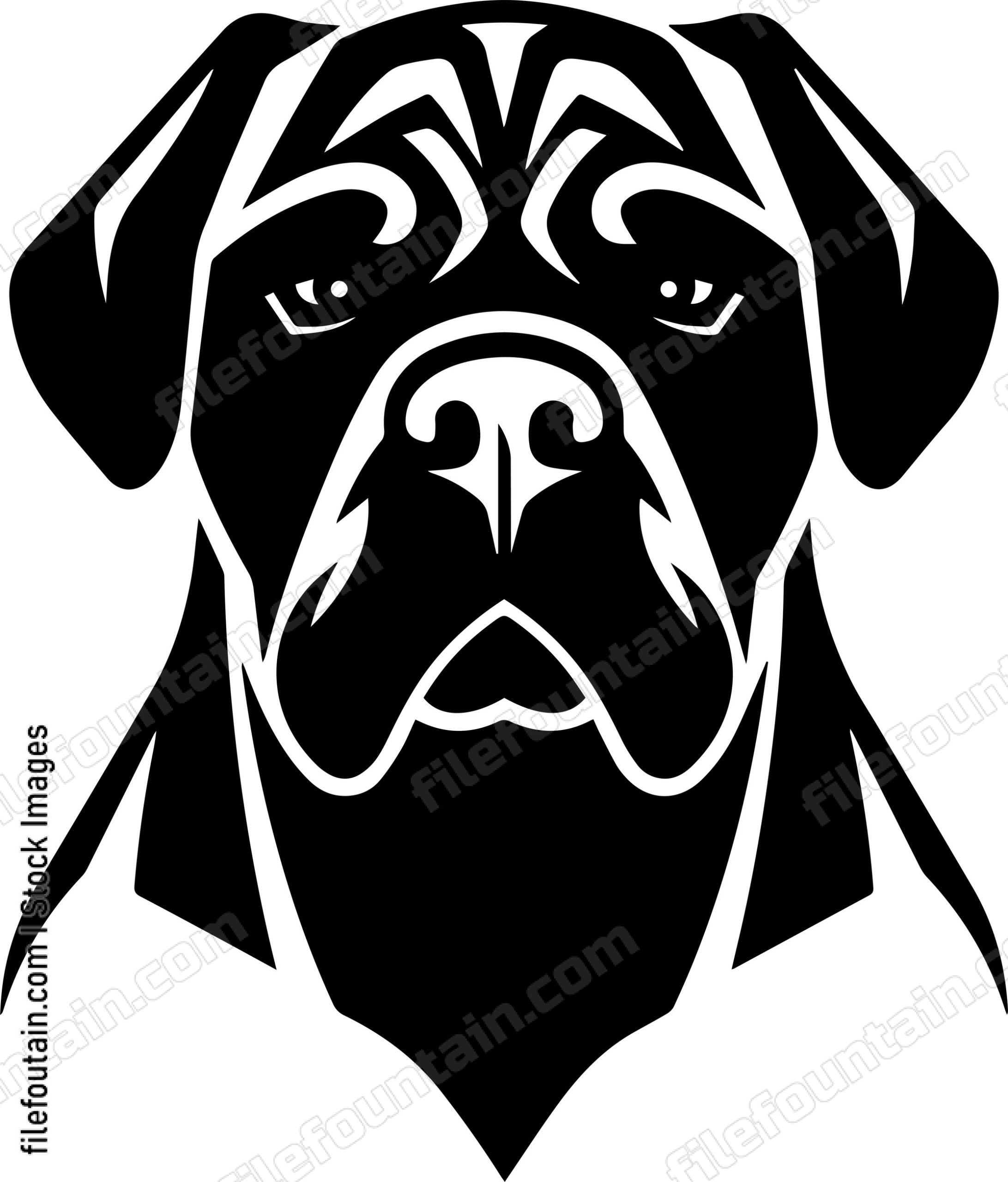 English Mastiff
