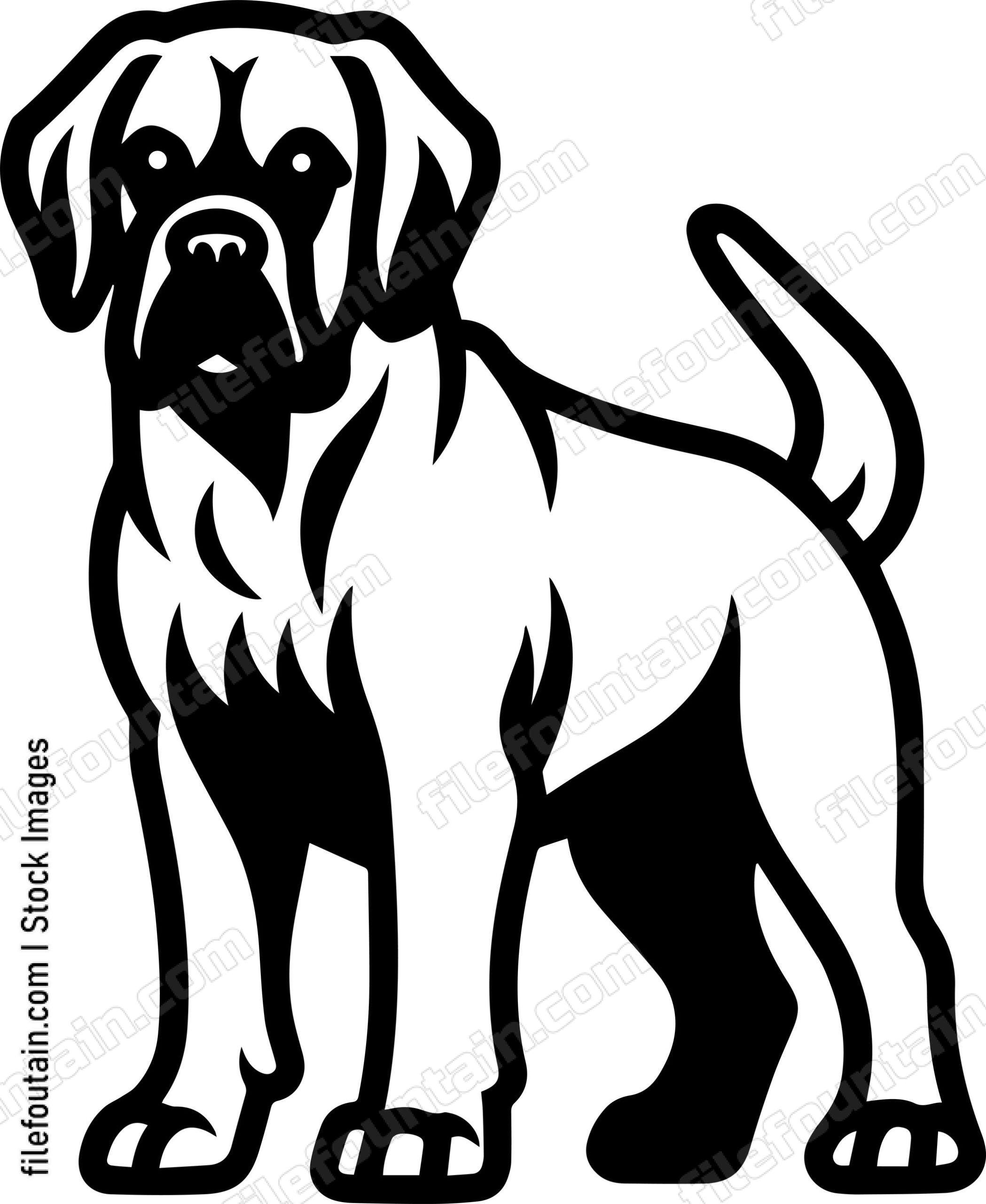English Mastiff