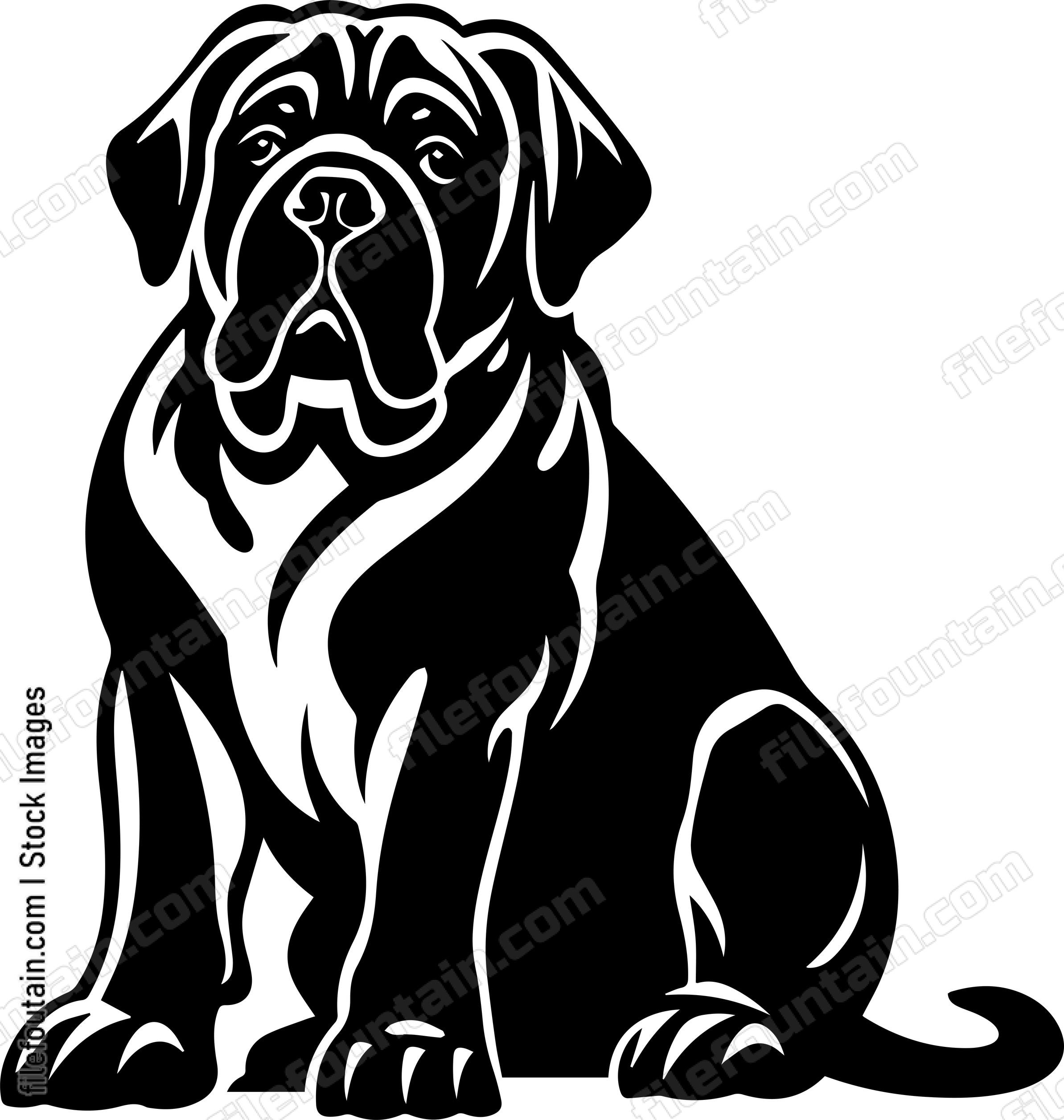 English Mastiff