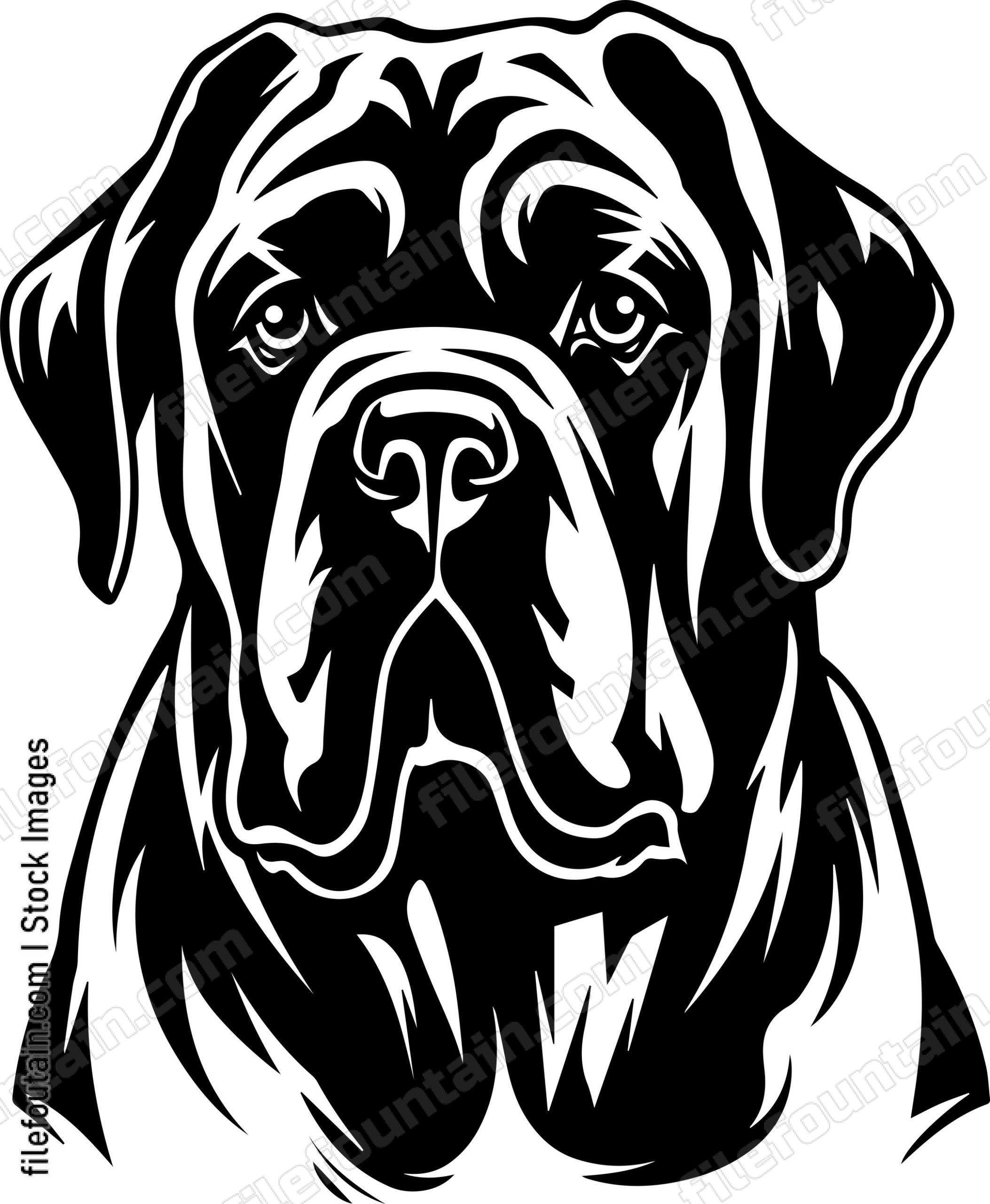 English Mastiff