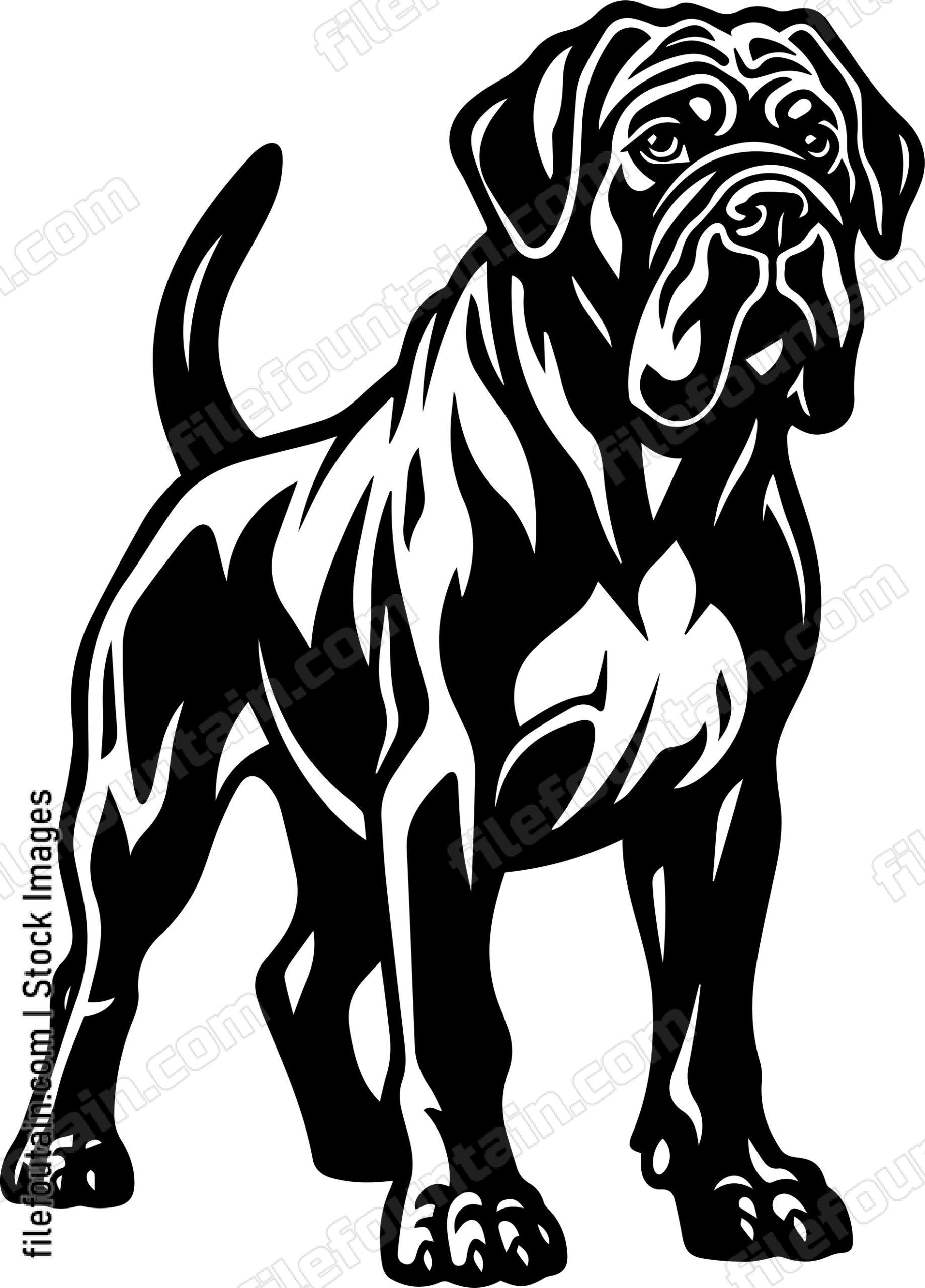 English Mastiff