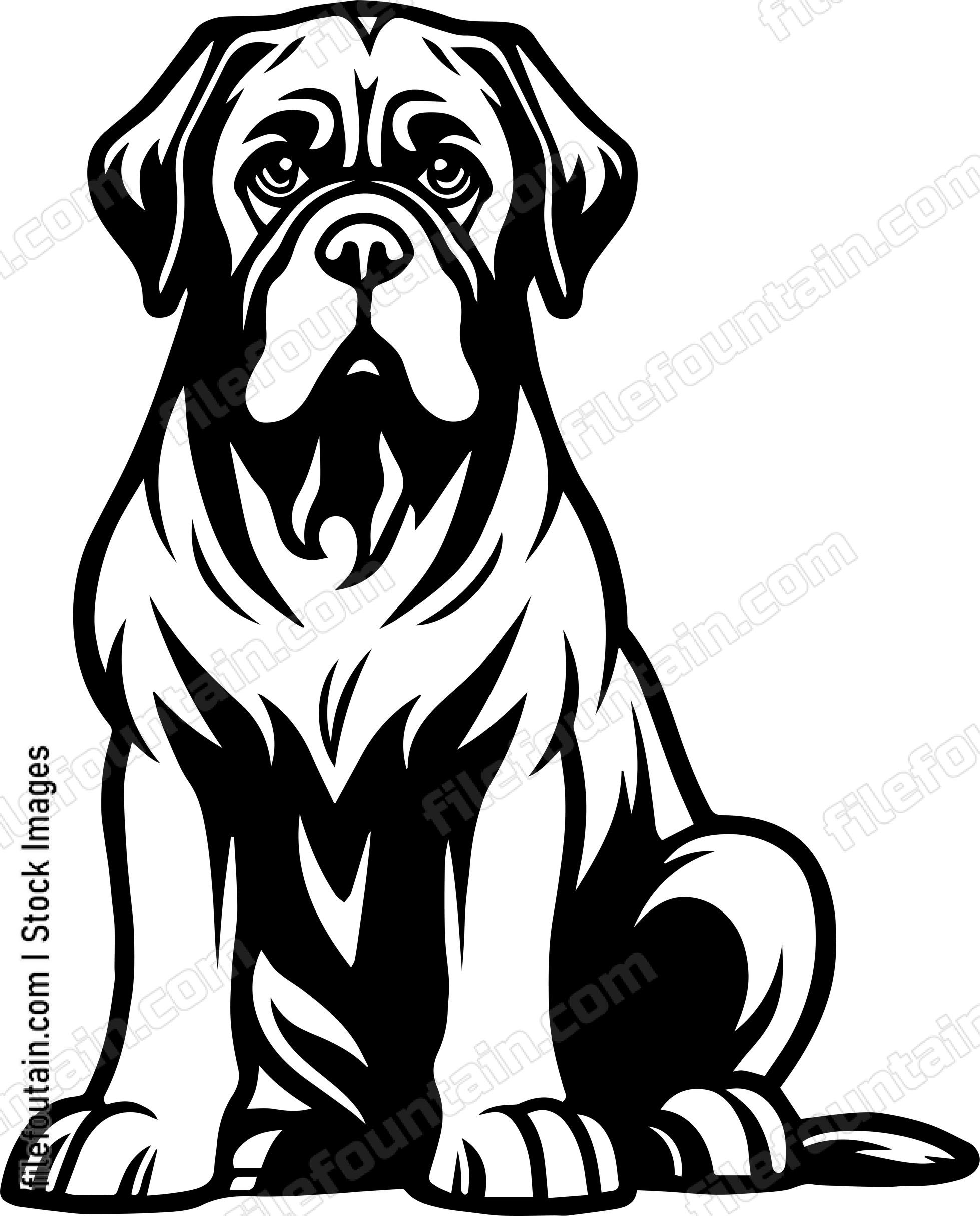 English Mastiff