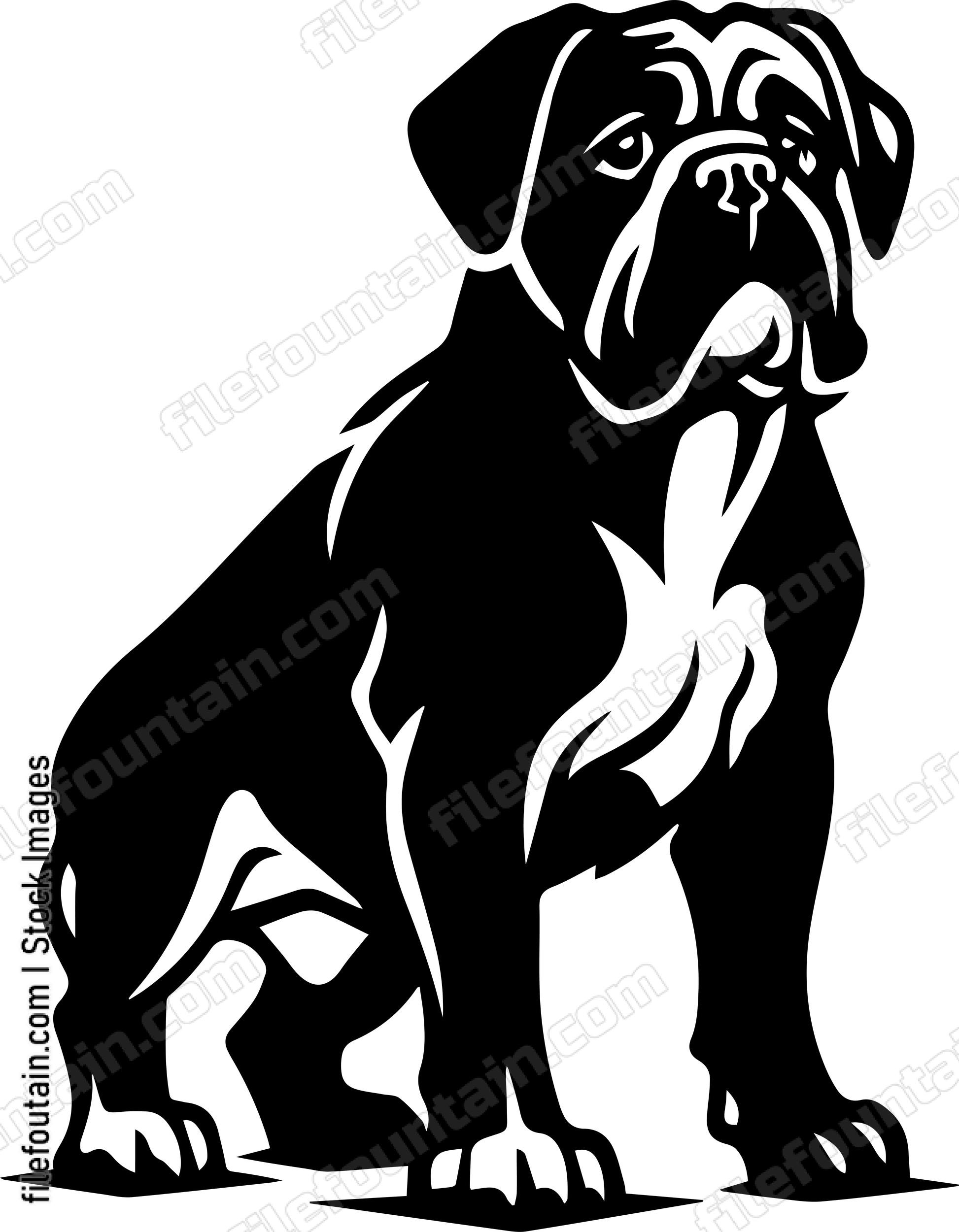 English Mastiff