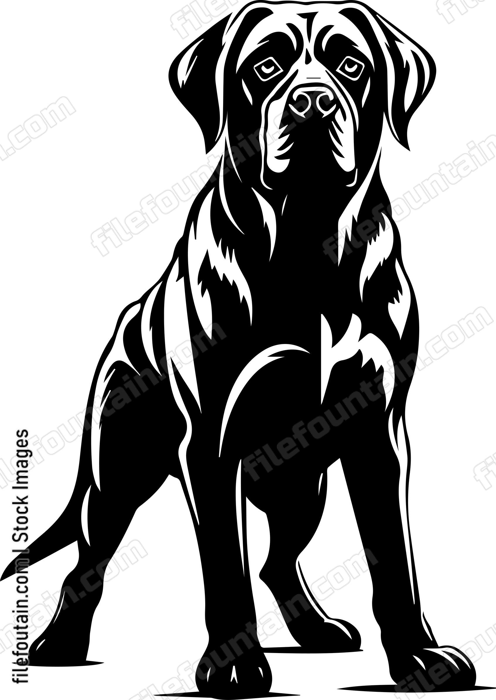 English Mastiff