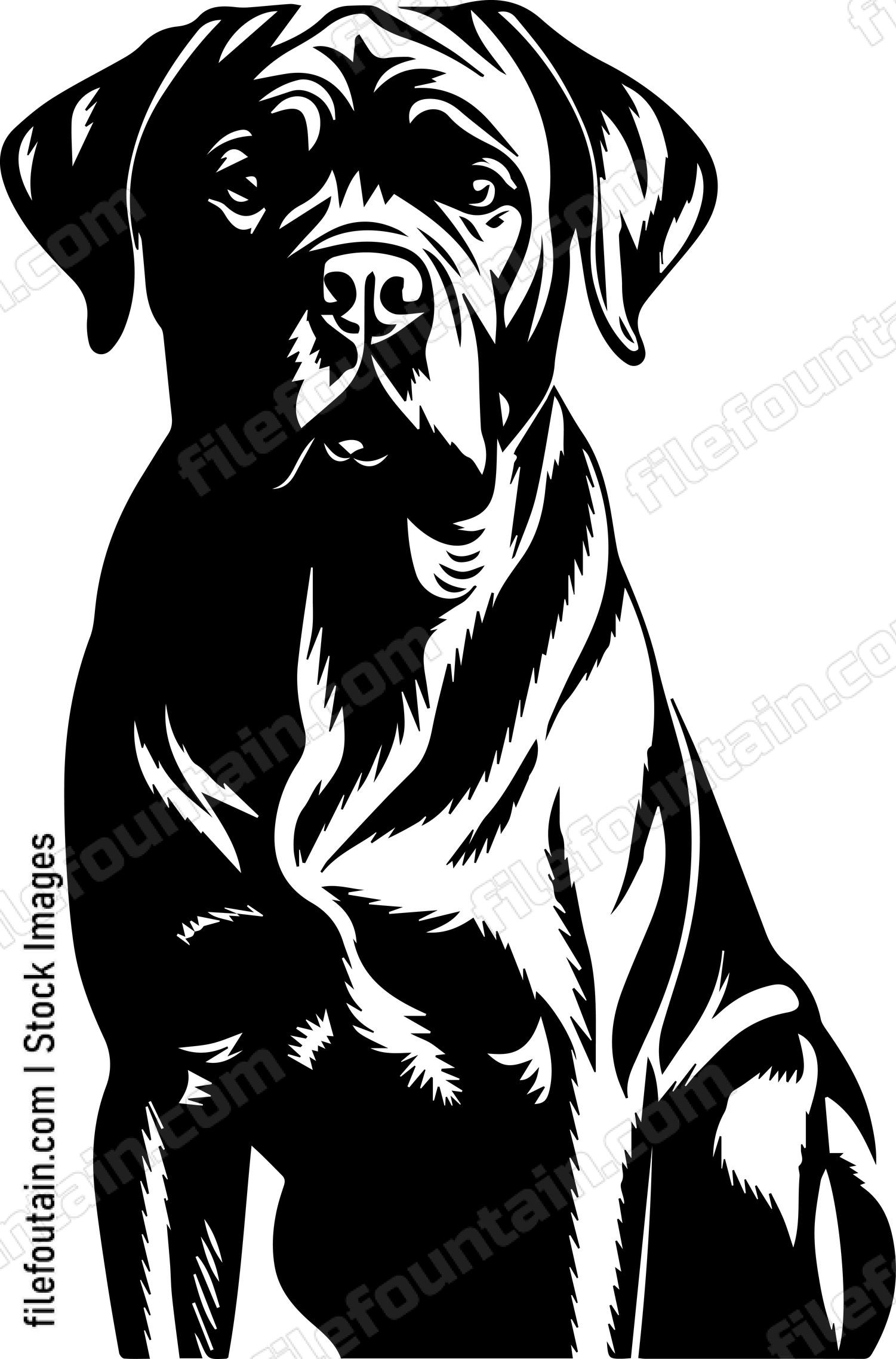 English Mastiff