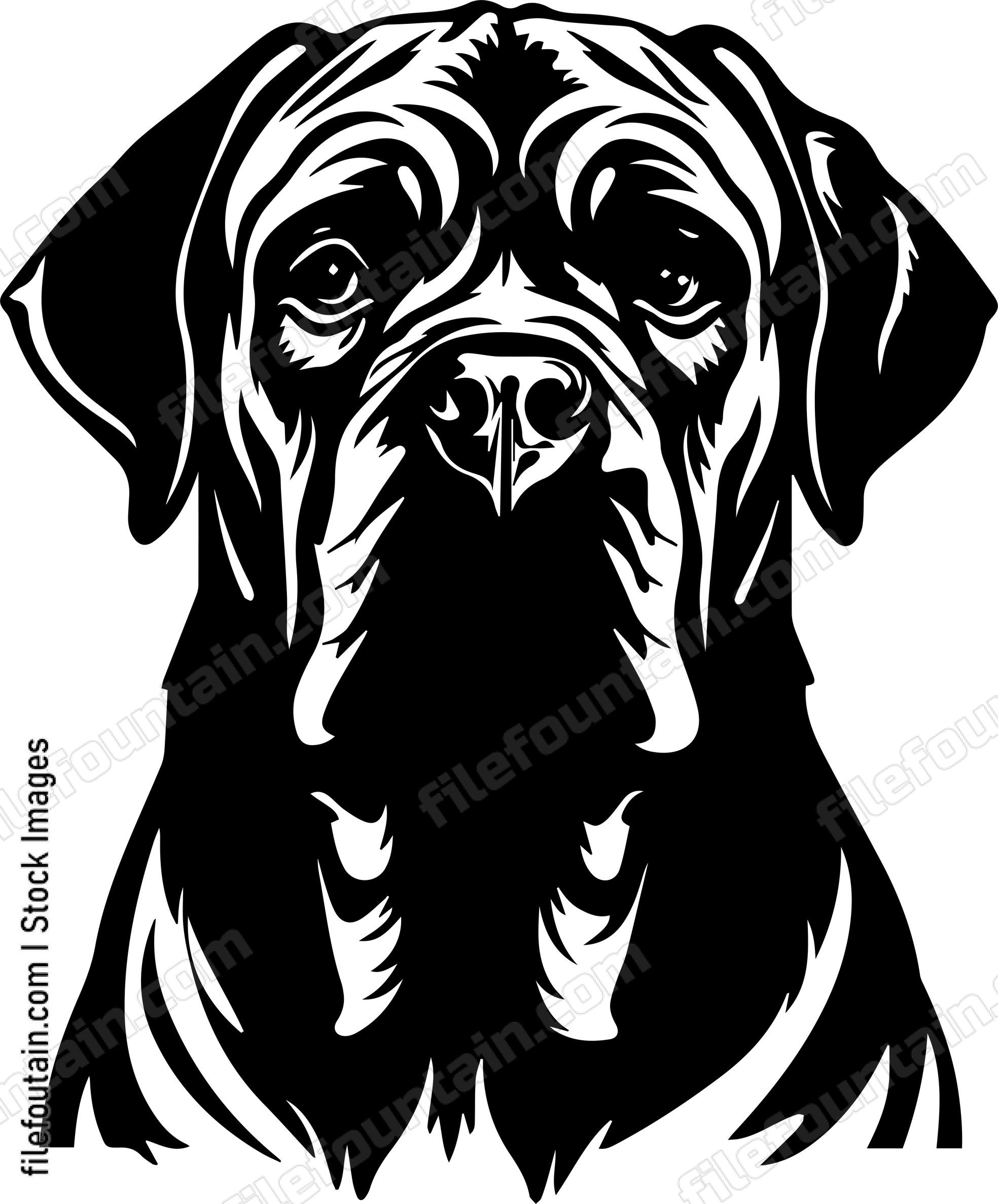 English Mastiff