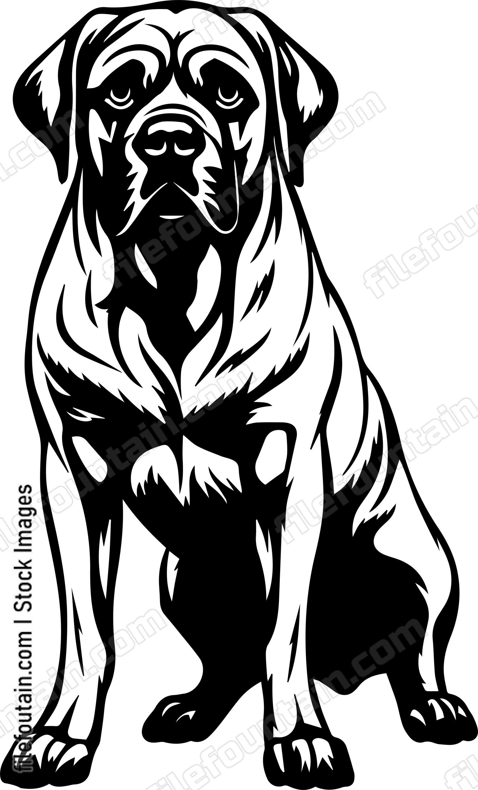 English Mastiff
