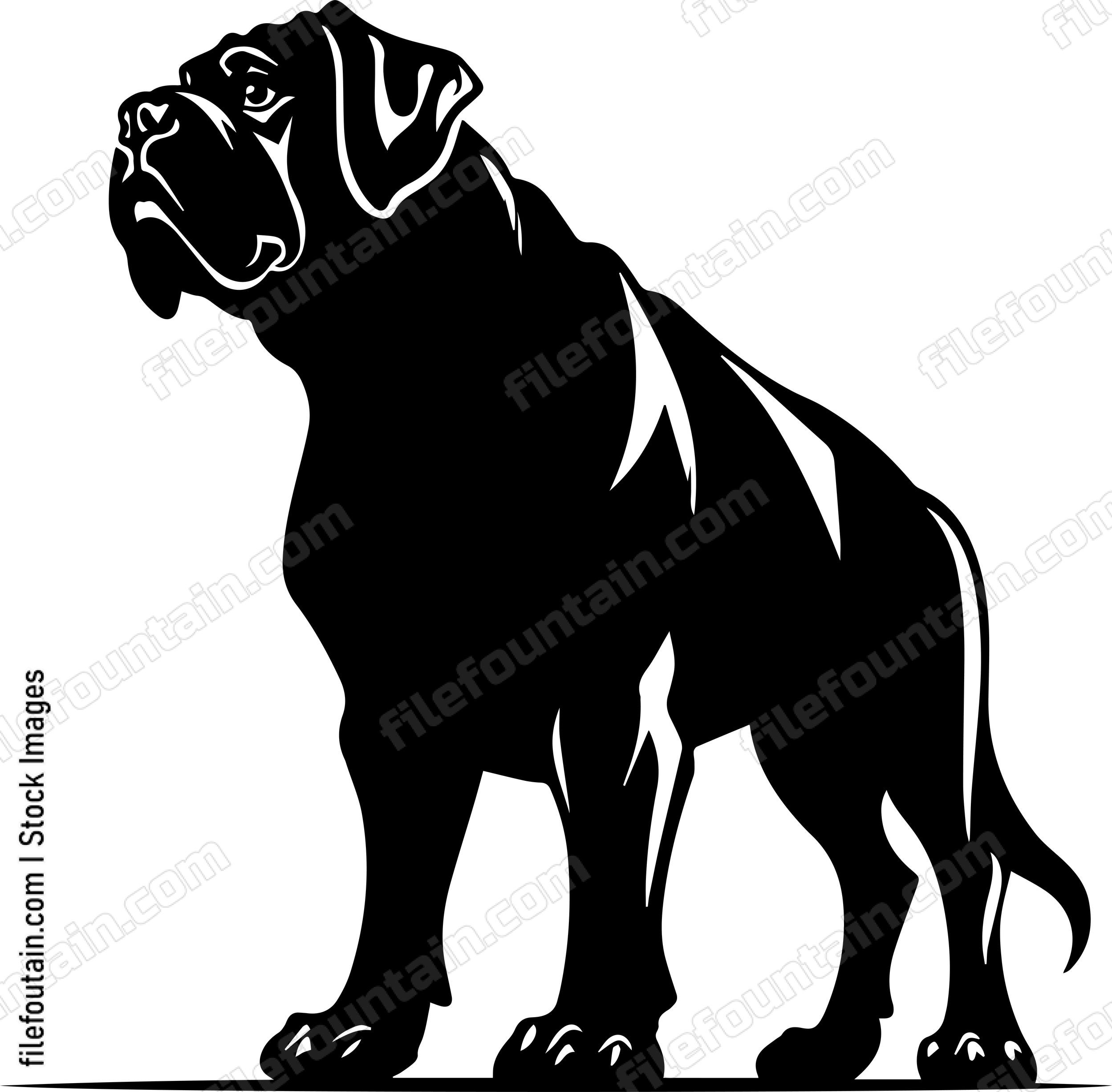English Mastiff