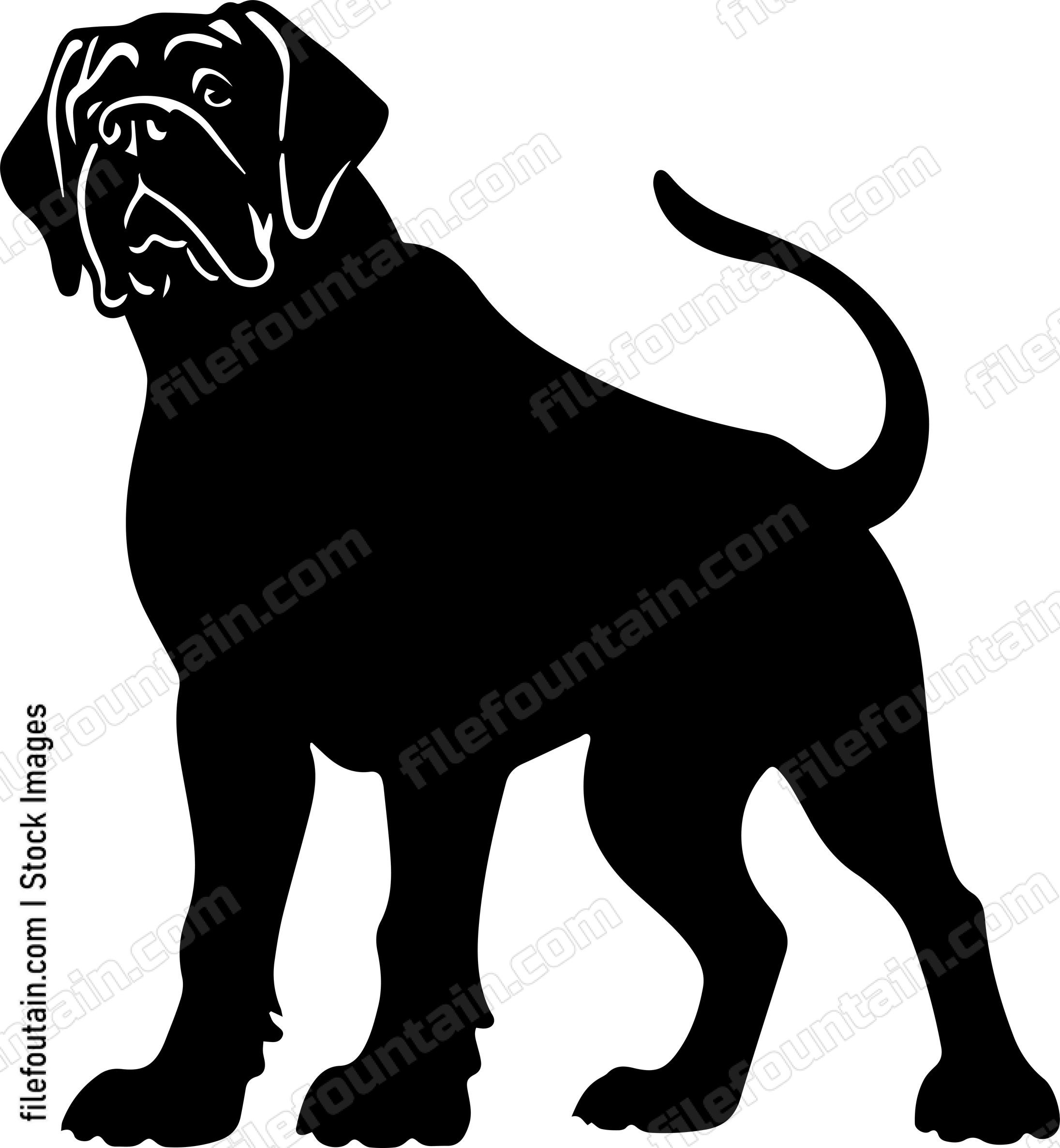English Mastiff