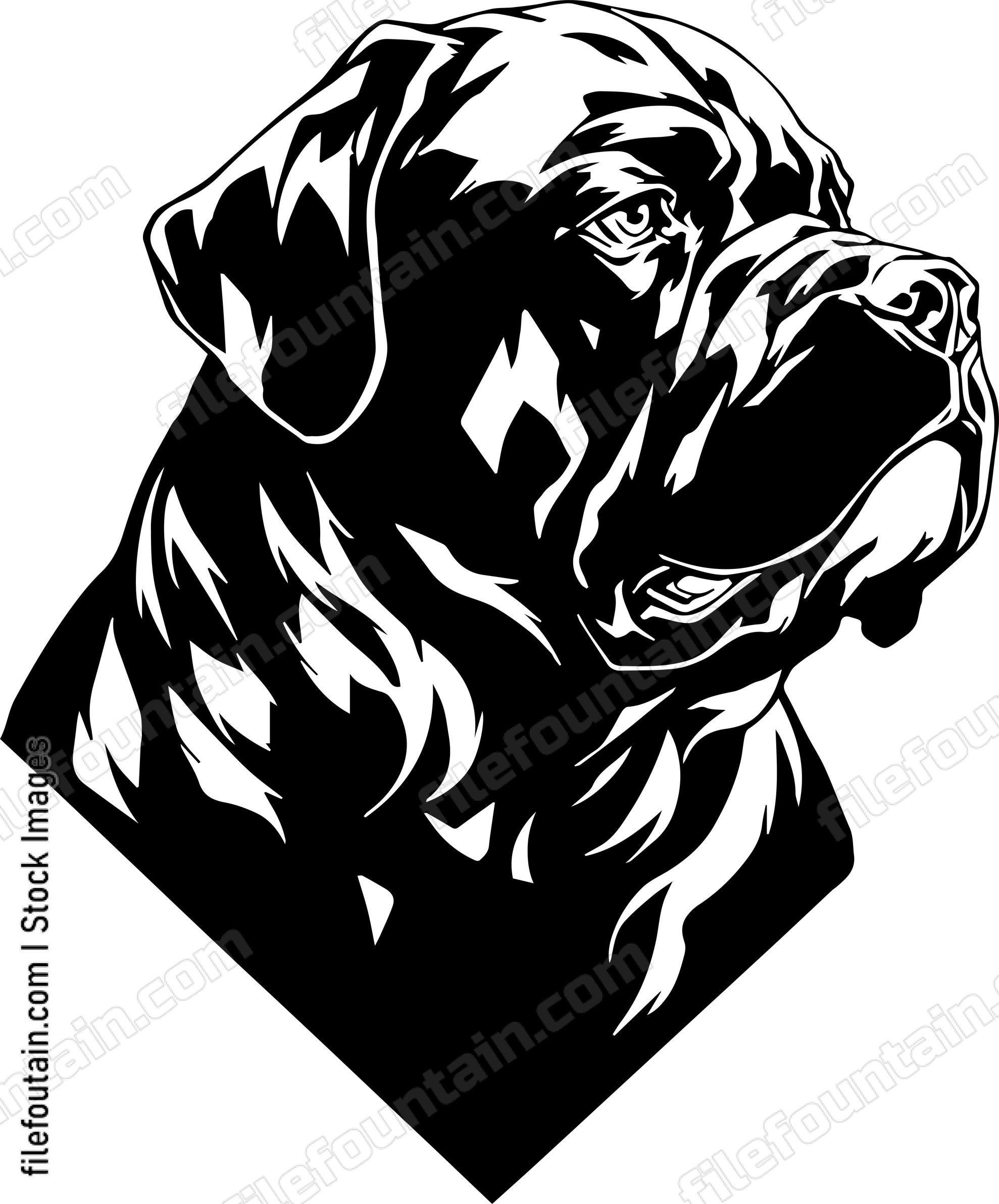 English Mastiff