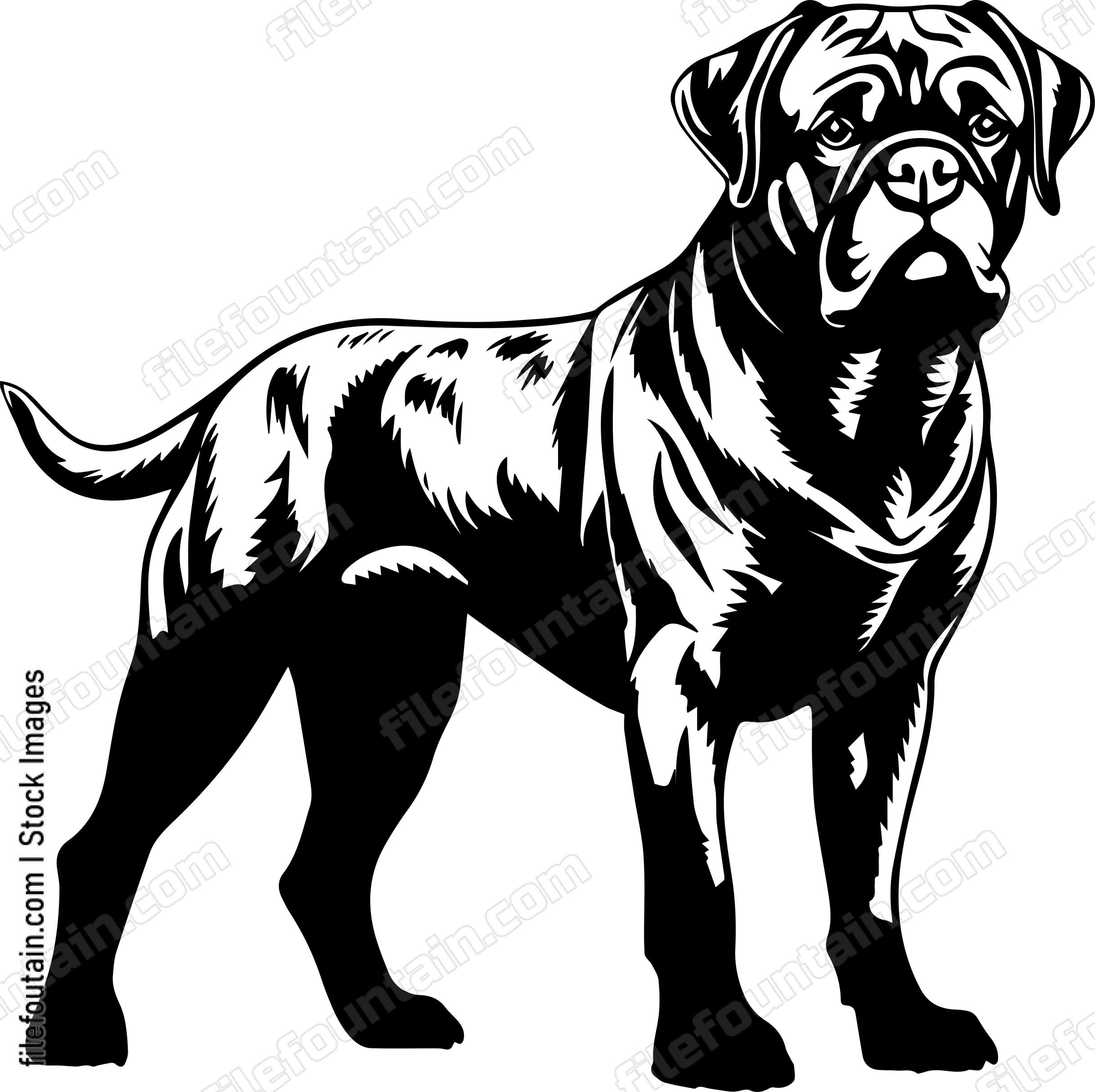 English Mastiff