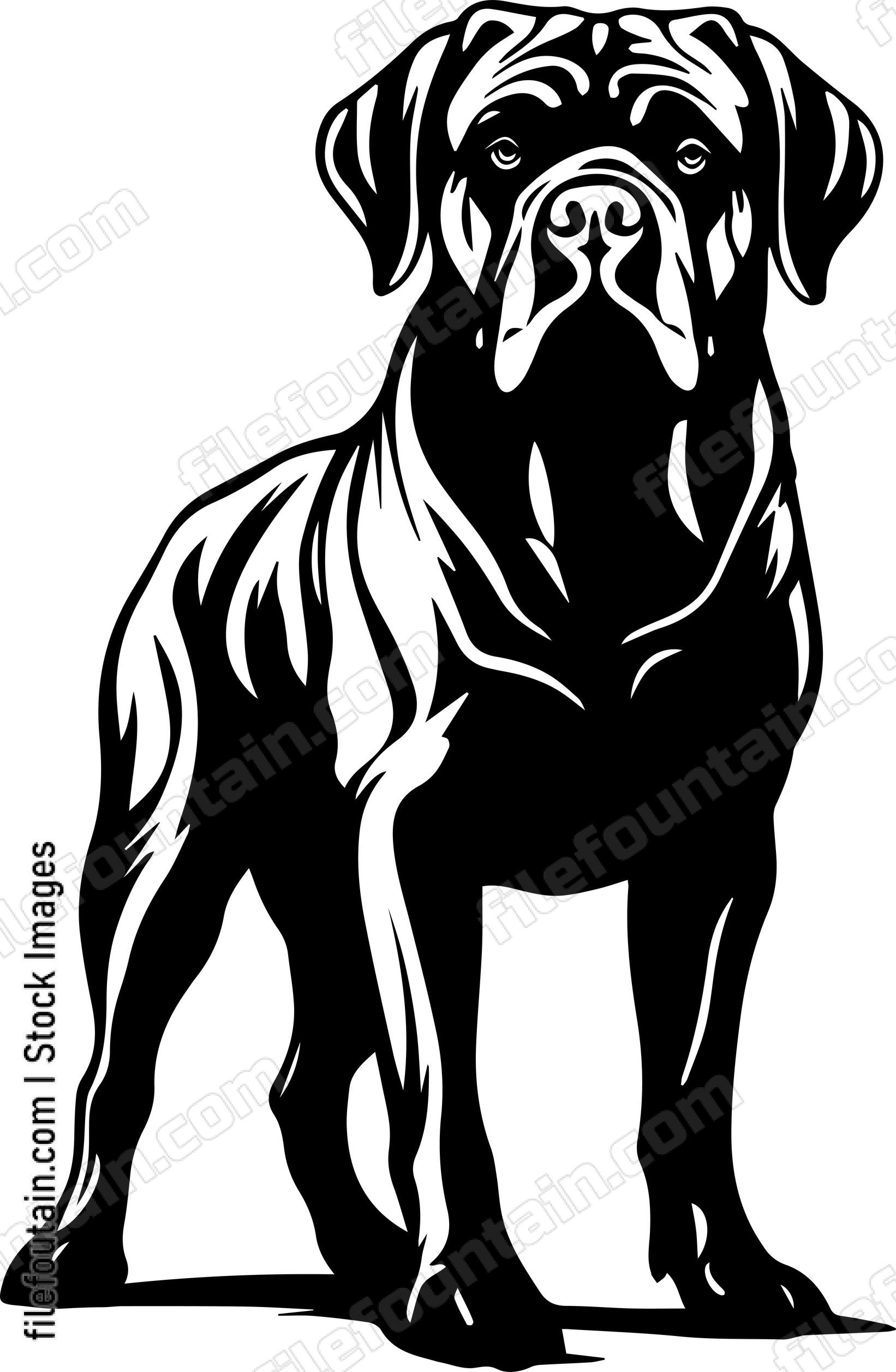 English Mastiff