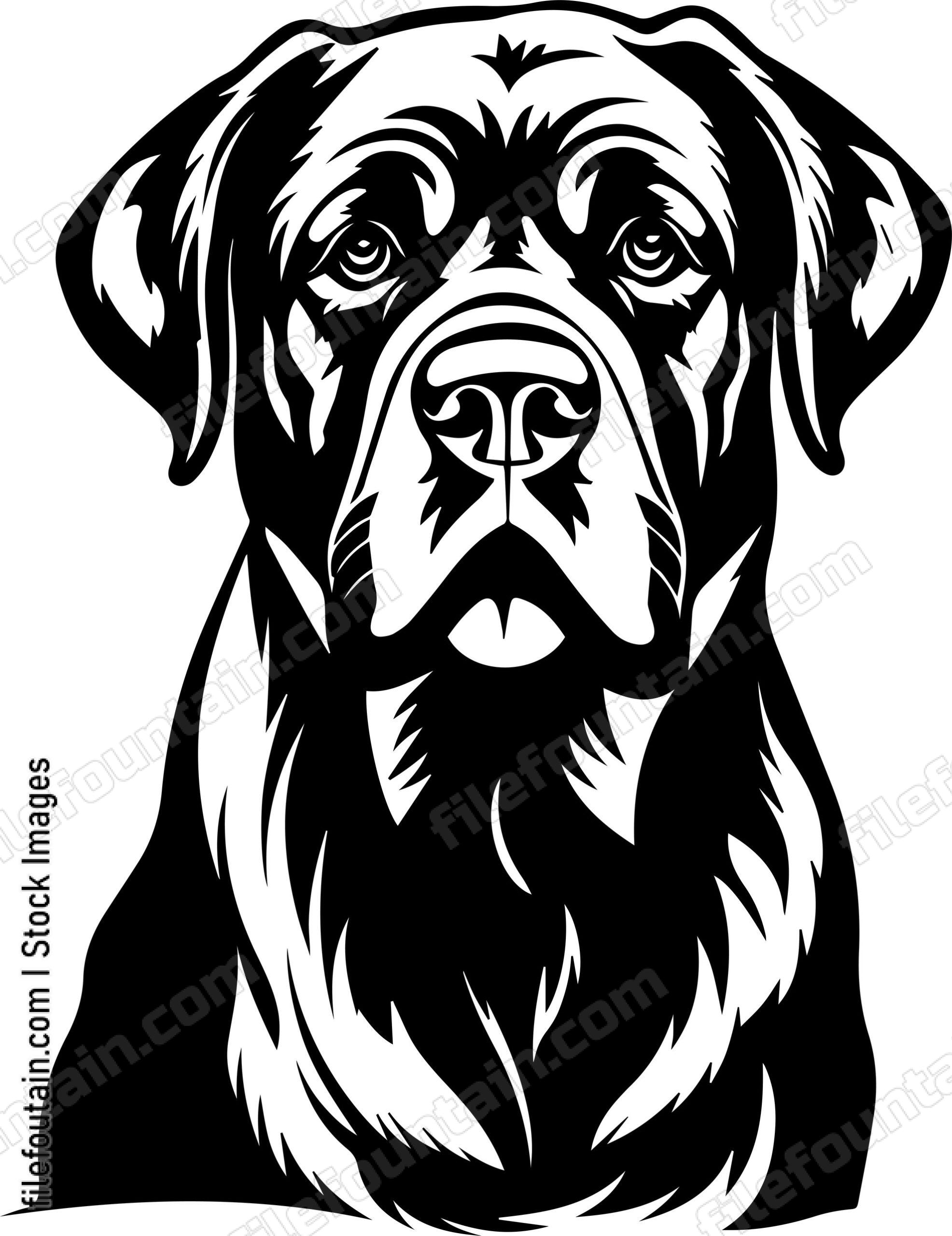 English Mastiff
