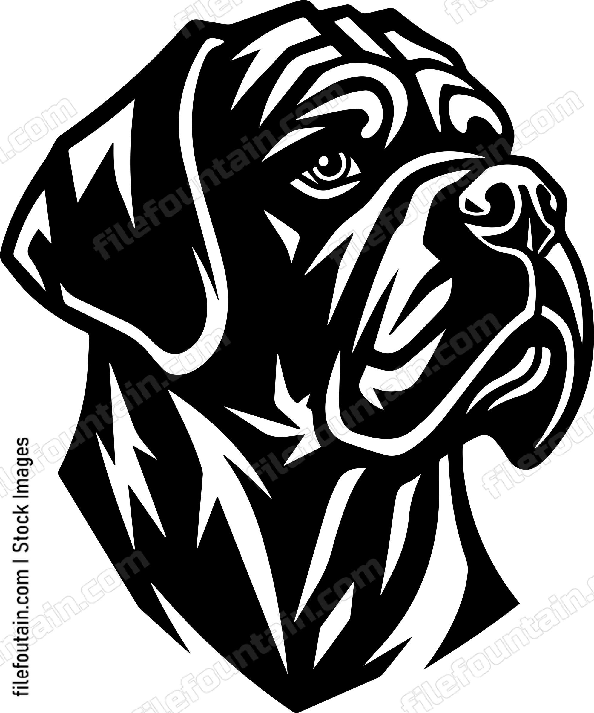 English Mastiff