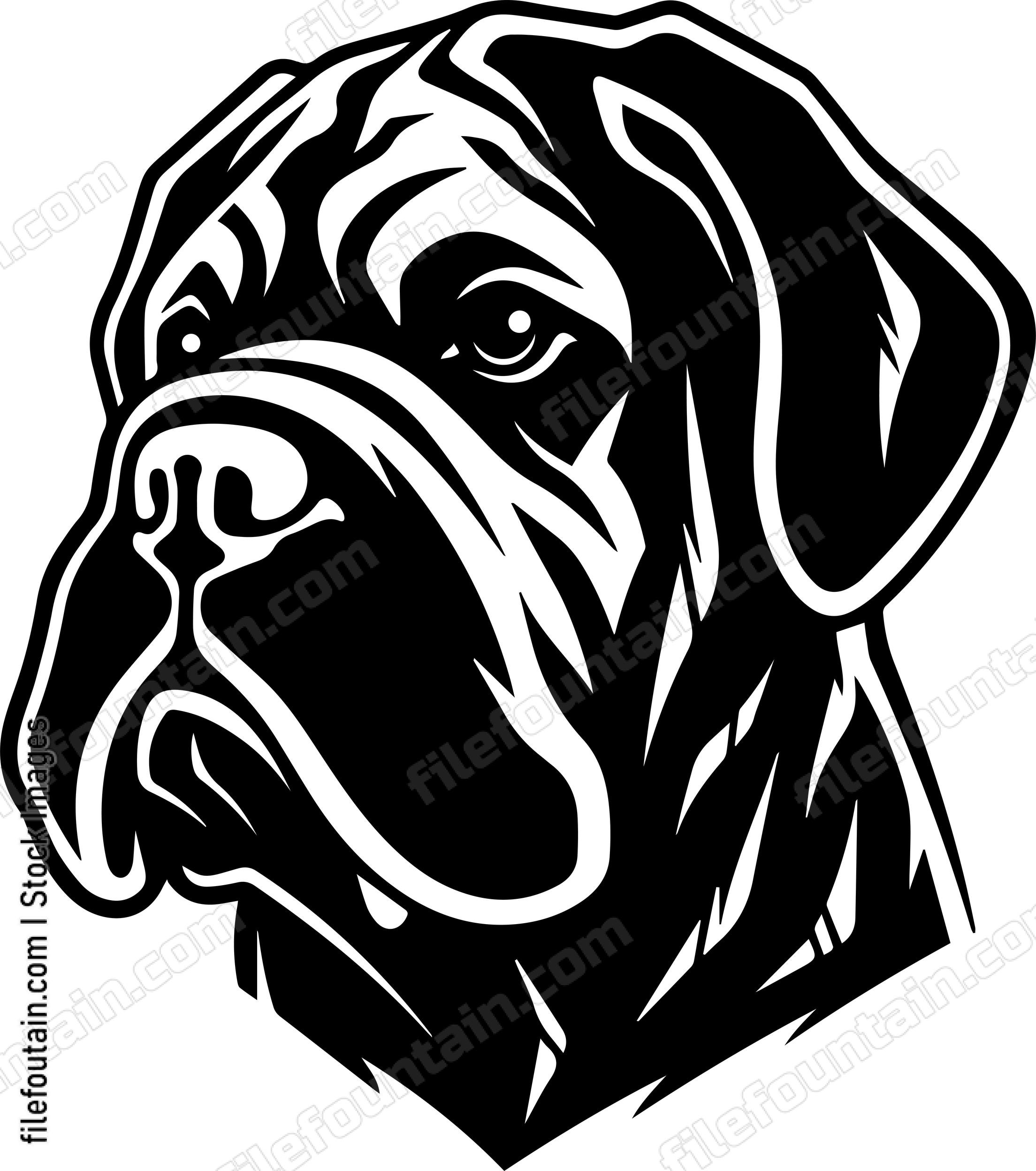 English Mastiff