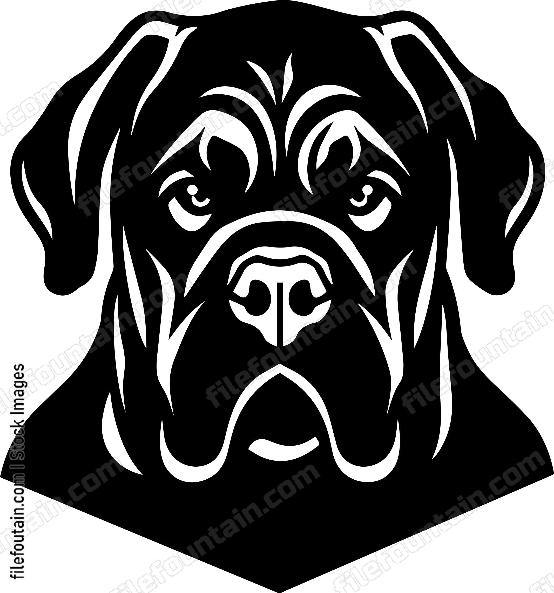 English Mastiff