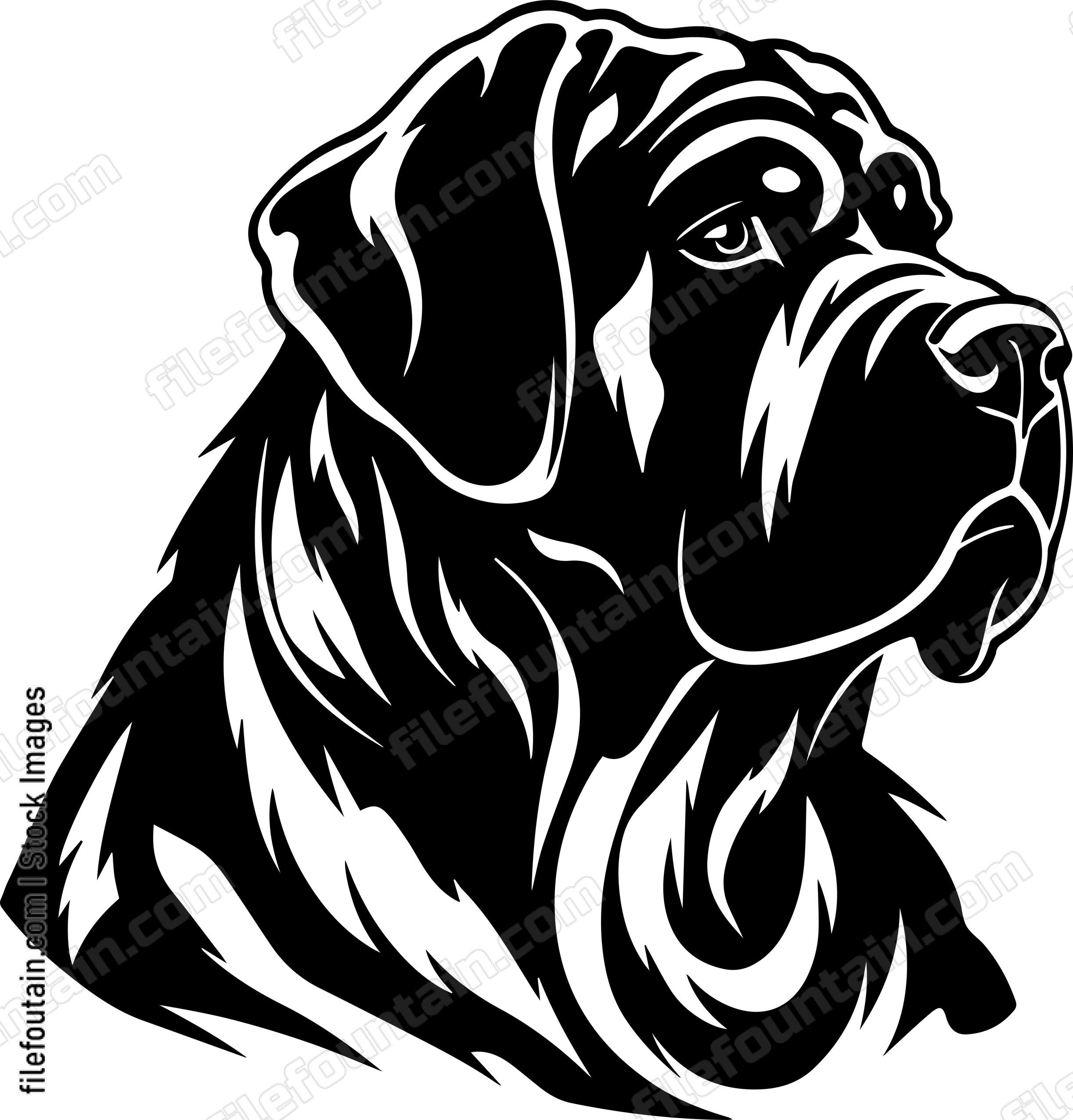 English Mastiff