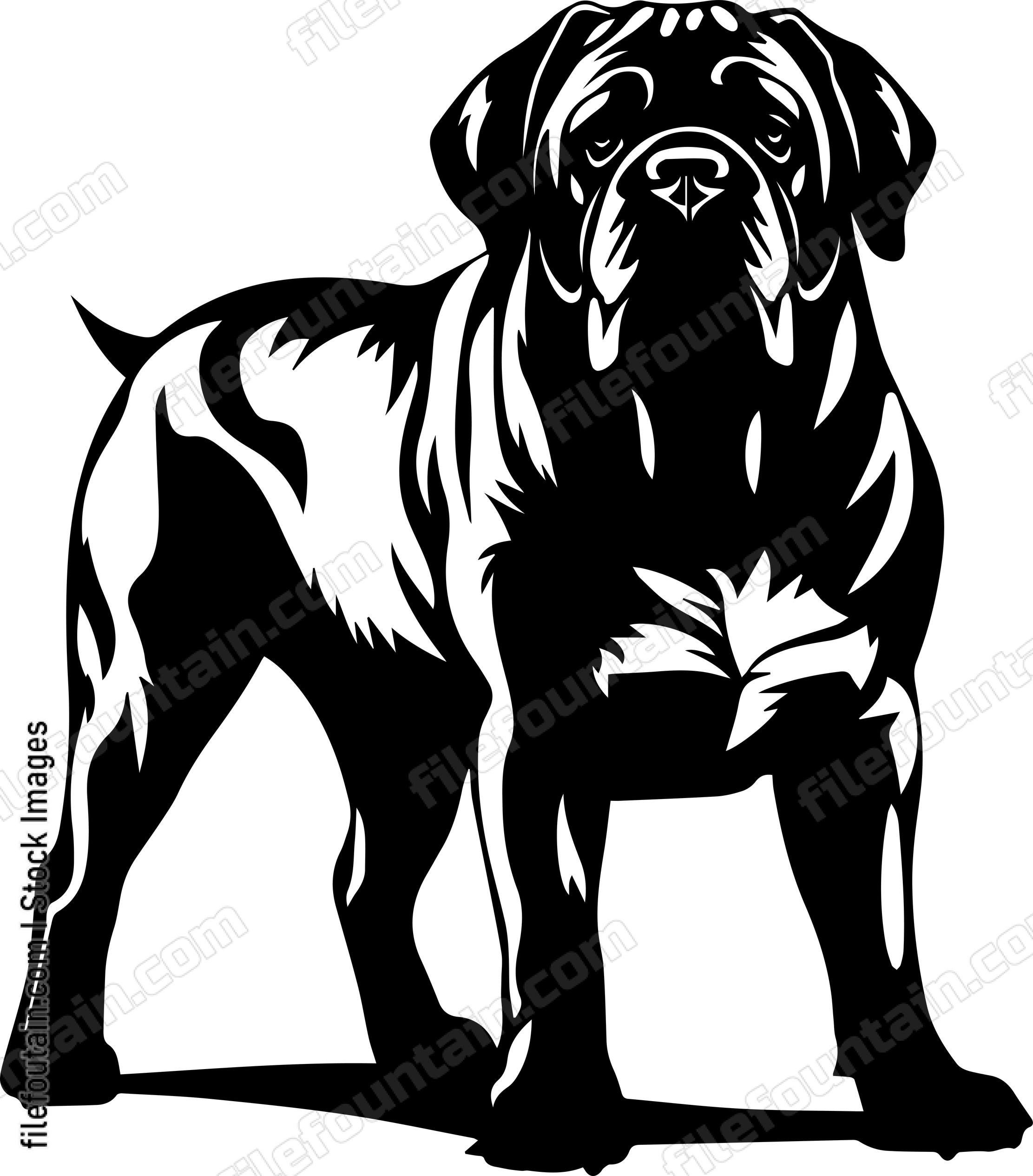 English Mastiff