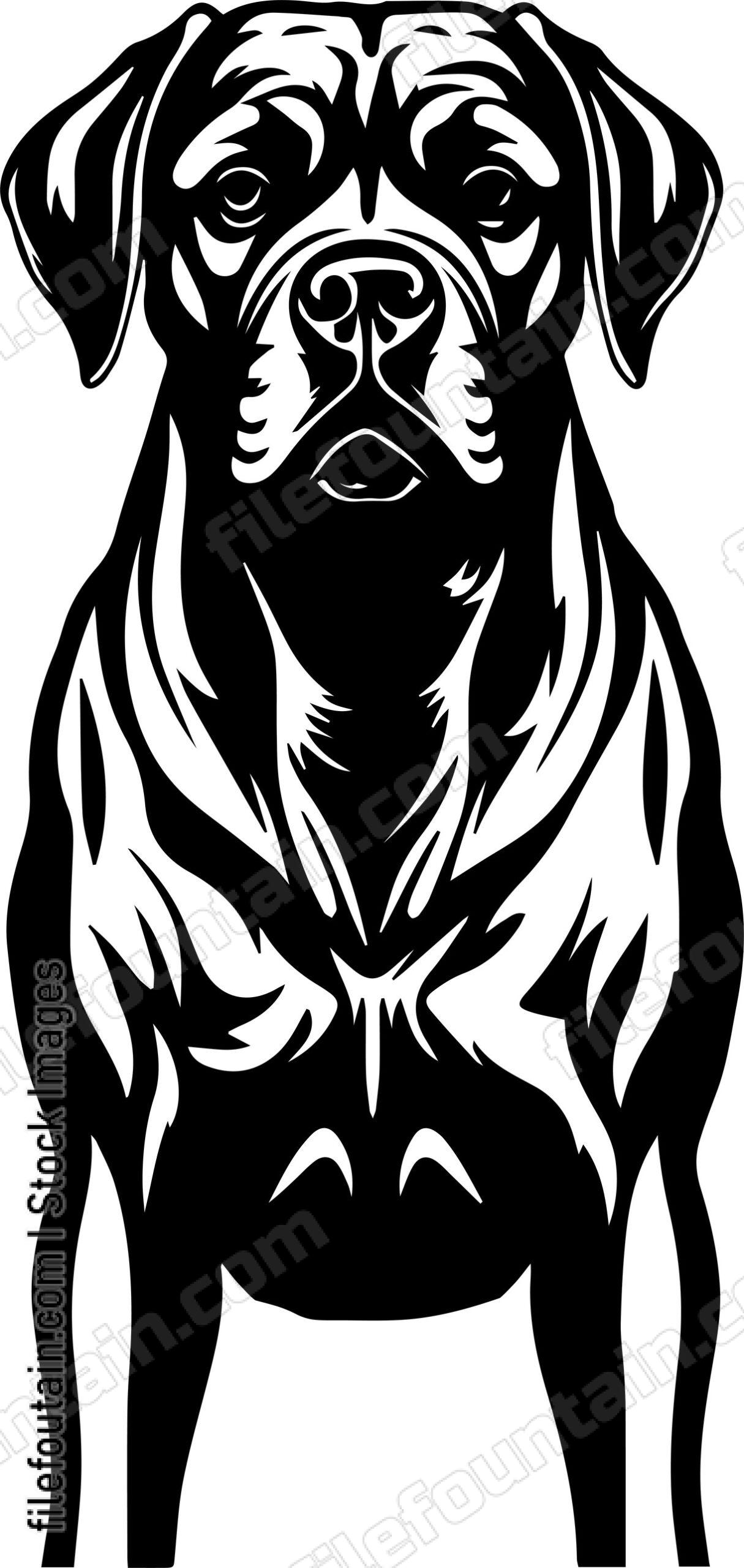English Mastiff
