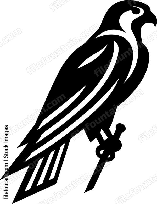 Falcon