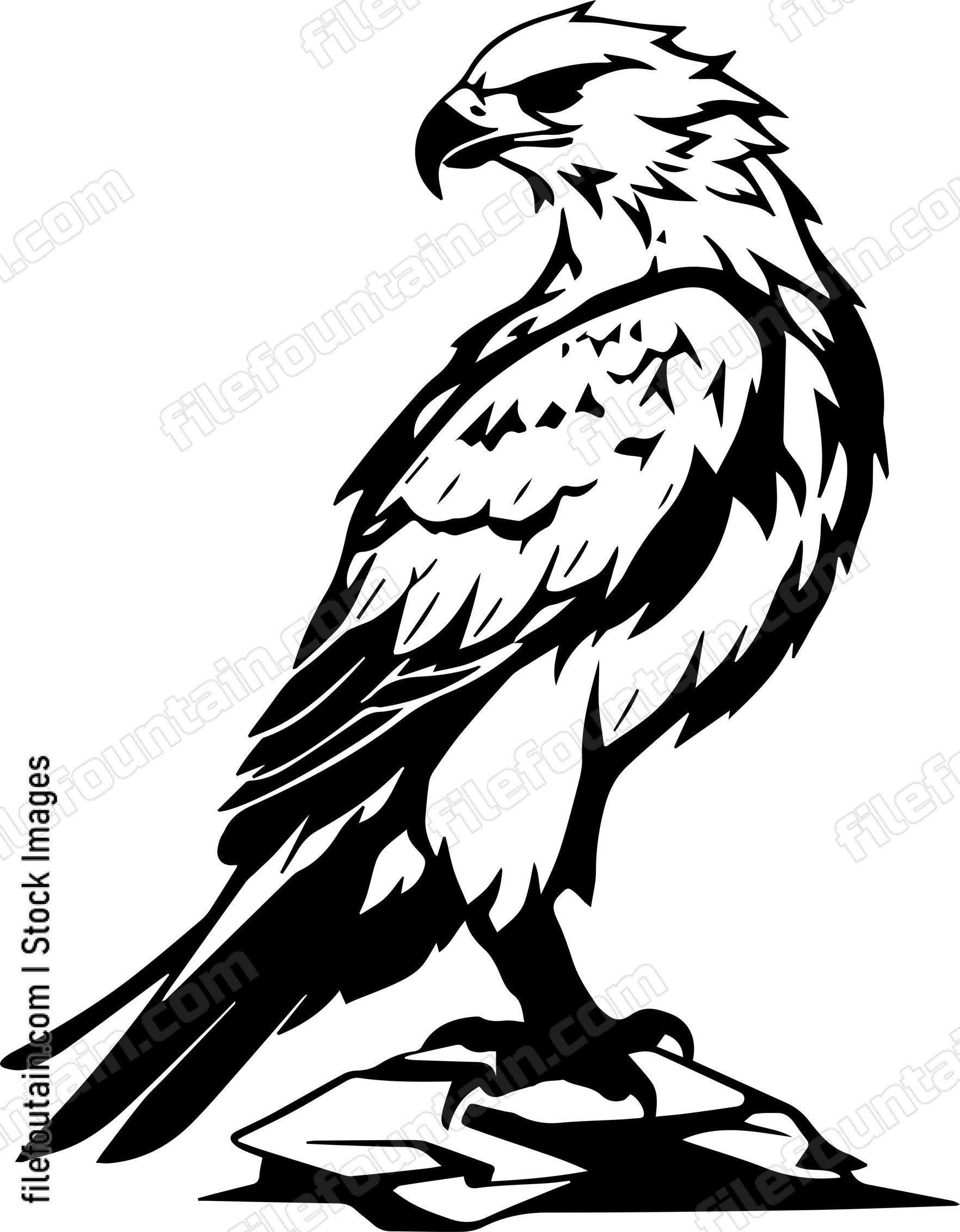 falcon
