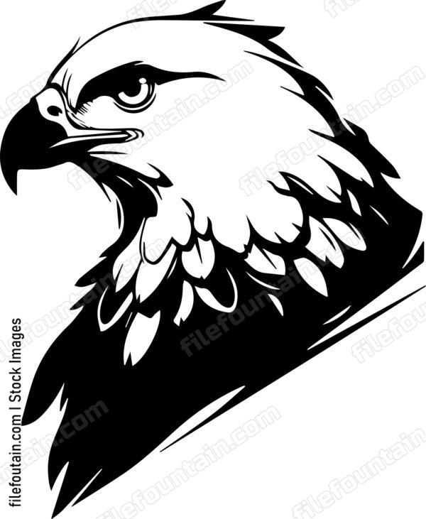falcon