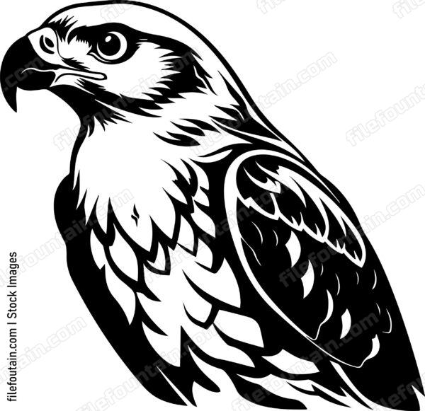 Falcon