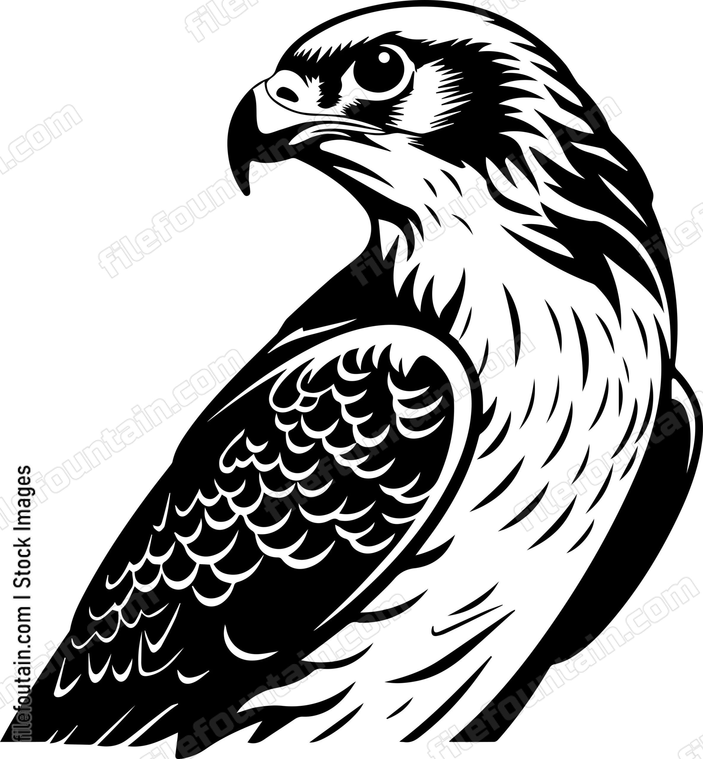 Falcon
