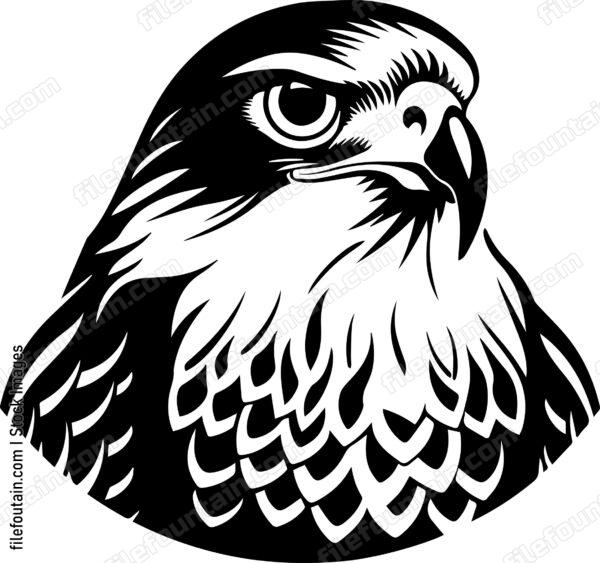 Falcon