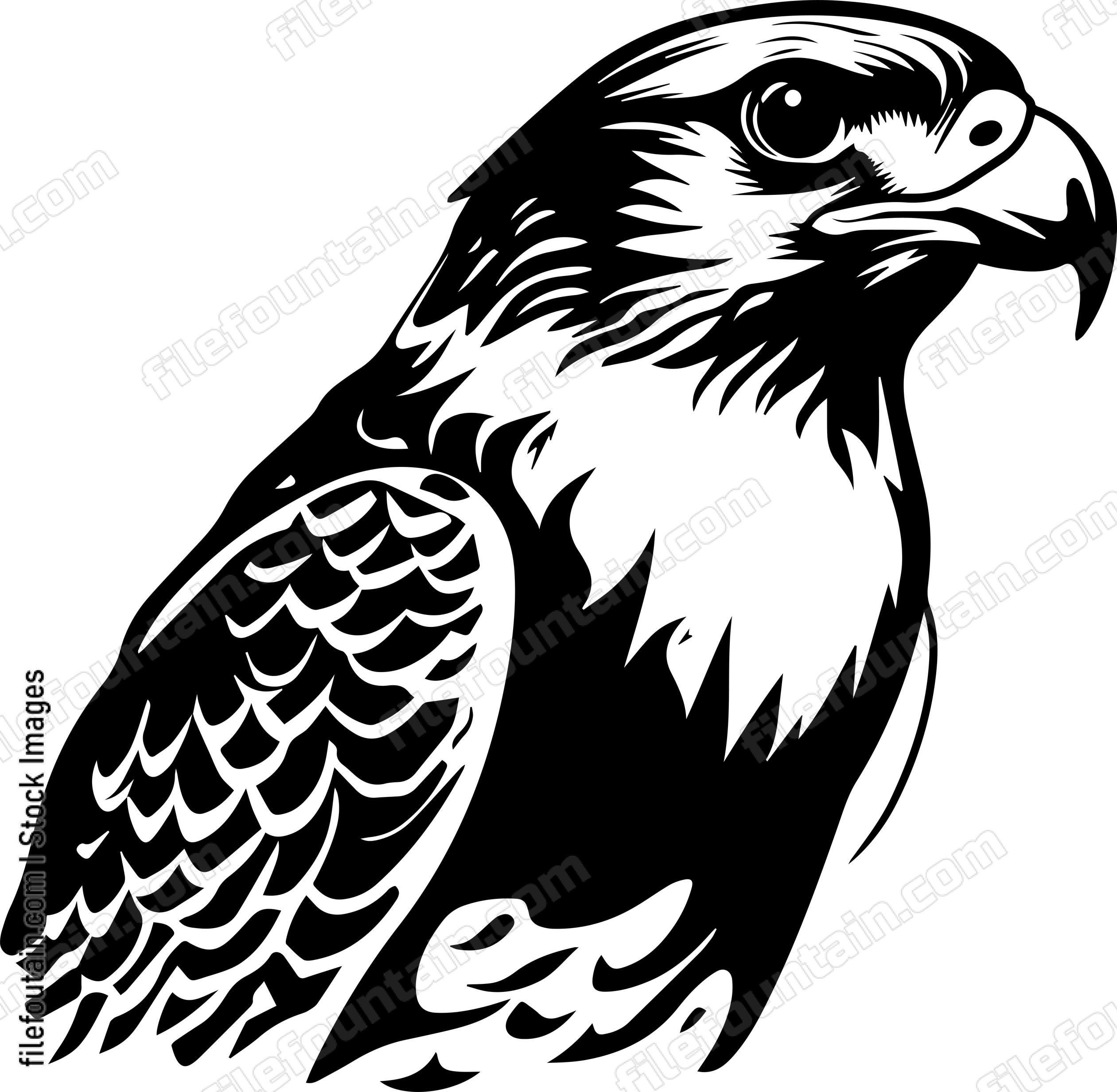Falcon