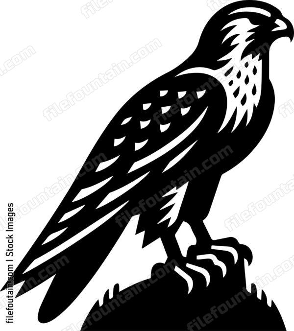 Falcon