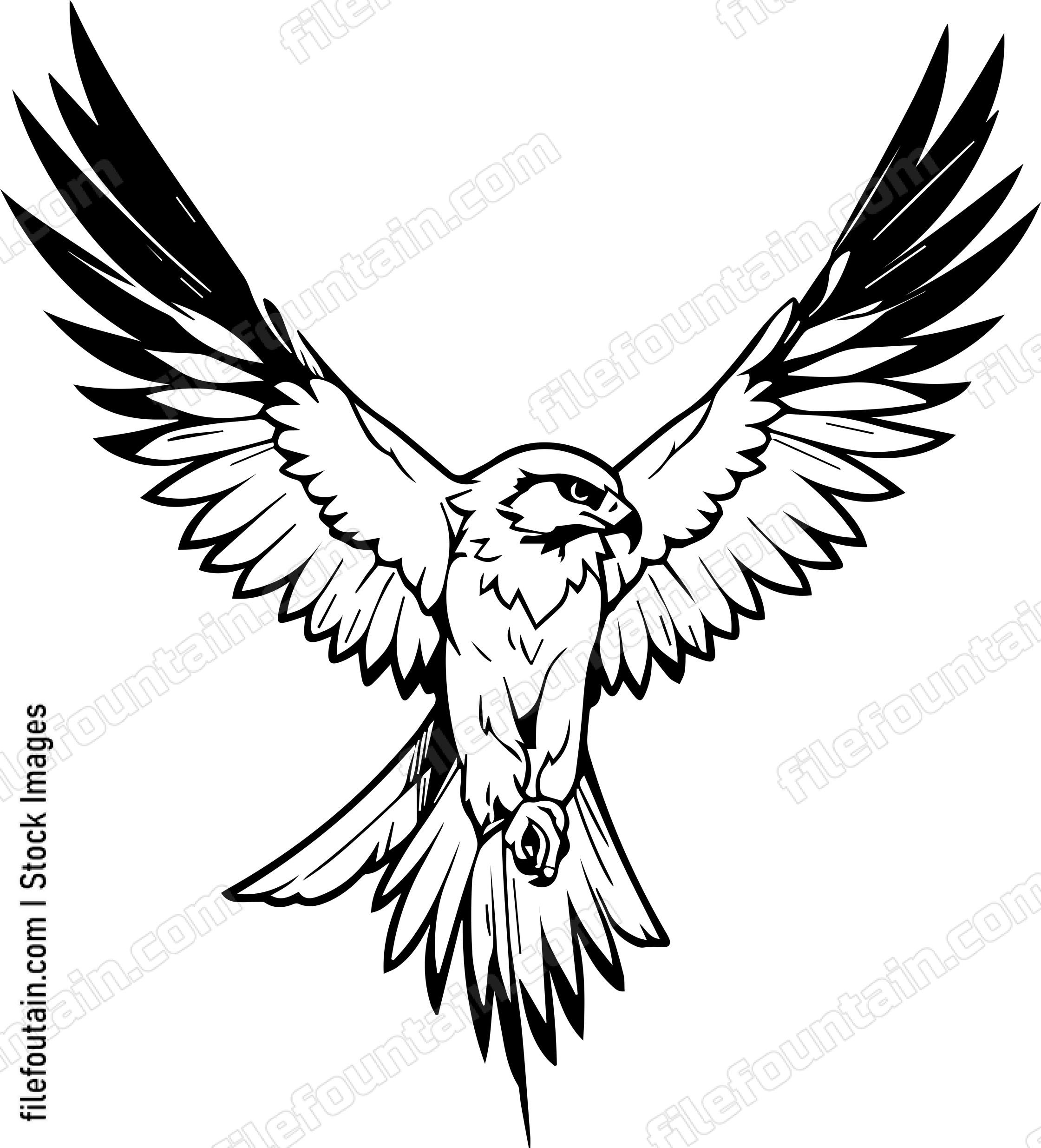 falcon