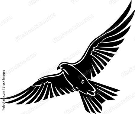 falcon