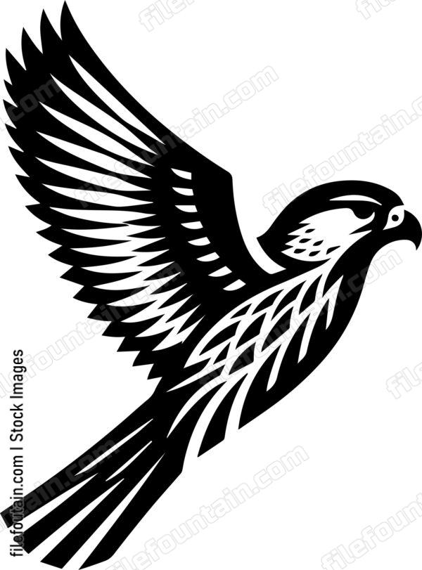 Falcon