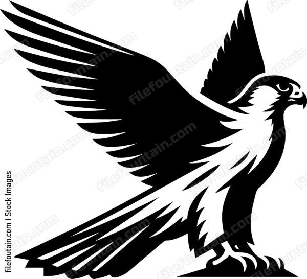 Falcon